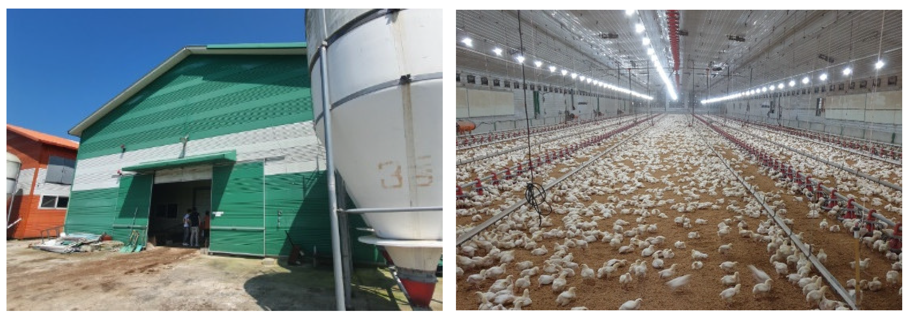 Agriculture 12 01666 g002