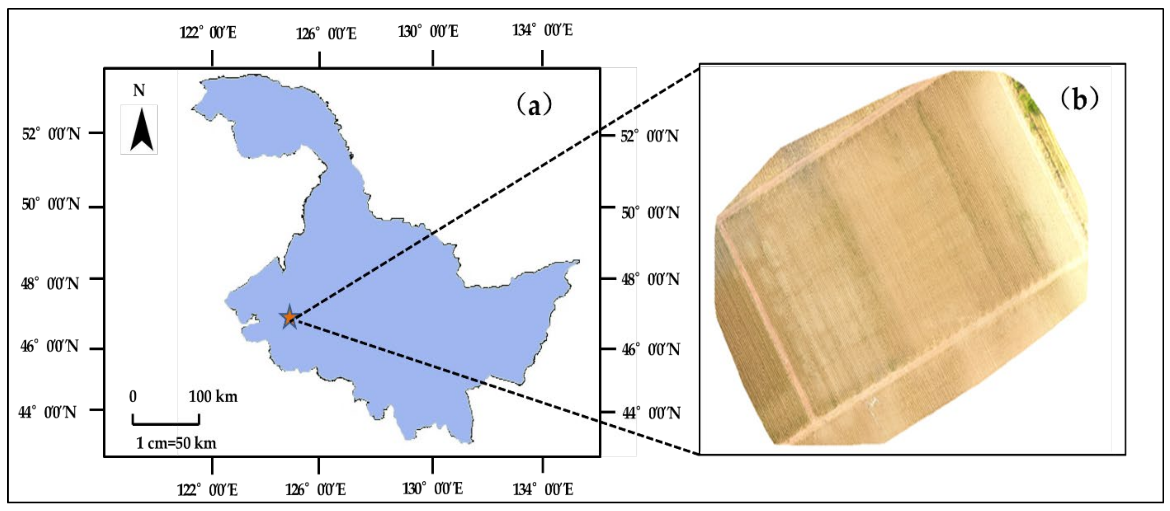Agriculture 12 01679 g001