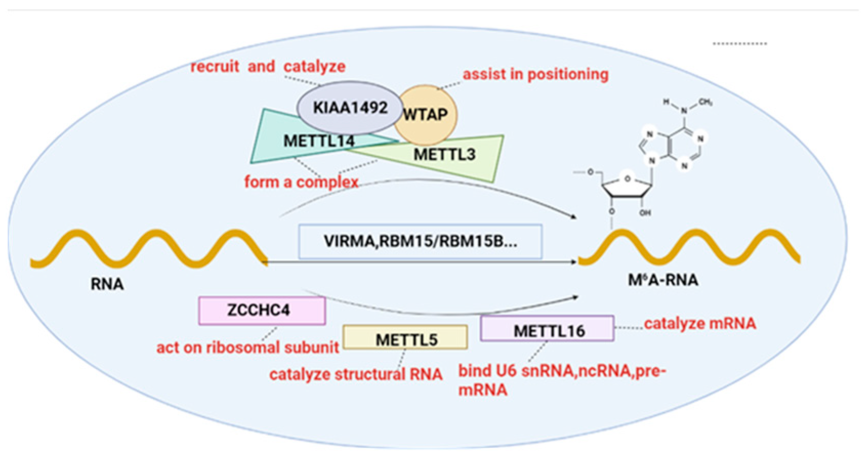Agriculture 12 01683 g001 Agriculture 12 01683 g001