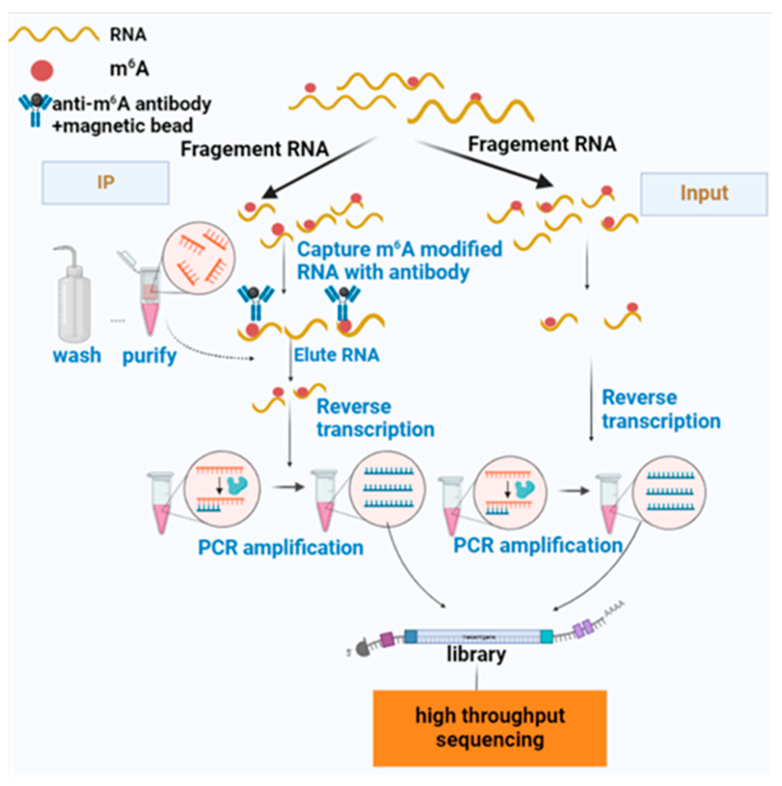 Agriculture 12 01683 g004 Agriculture 12 01683 g004