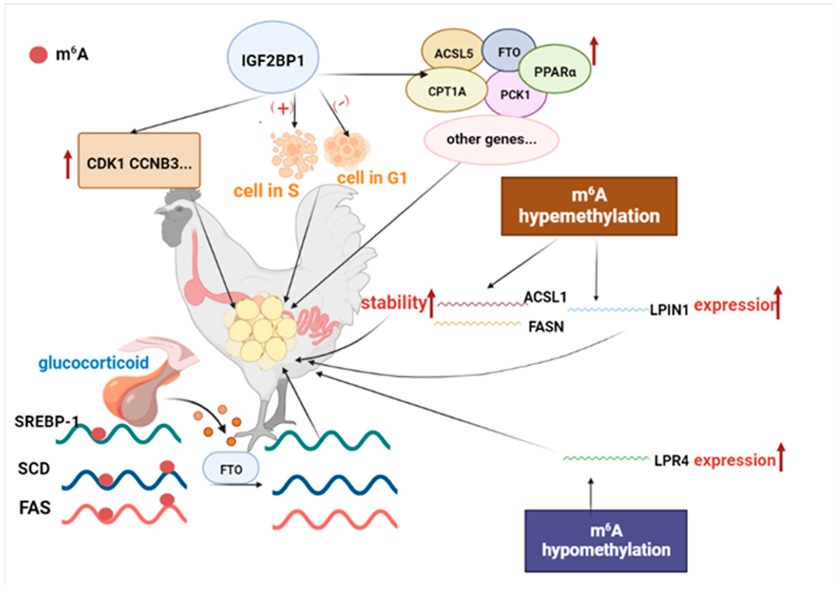 Agriculture 12 01683 g009 Agriculture 12 01683 g009