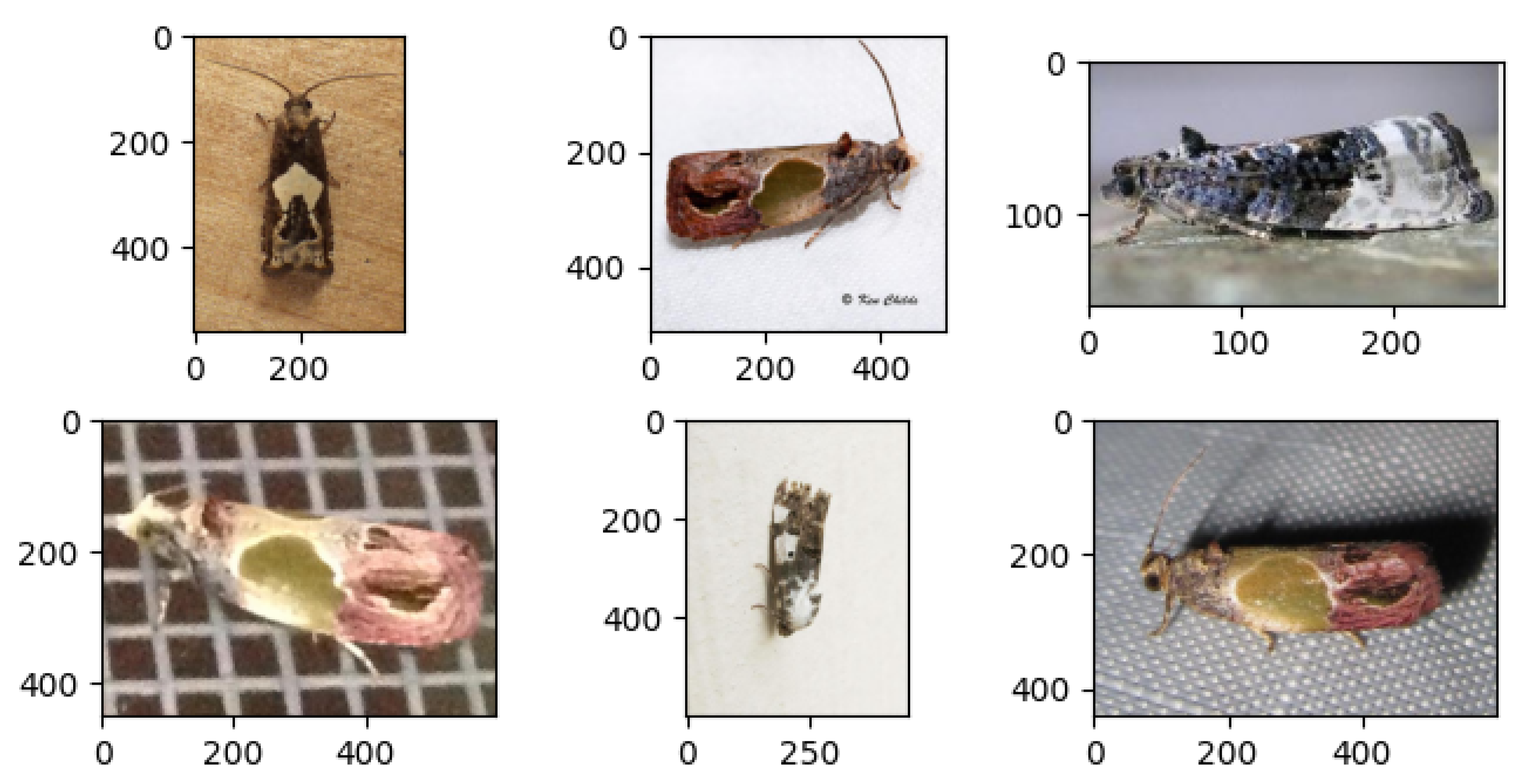 Agriculture 12 01721 g004 Agriculture 12 01721 g004