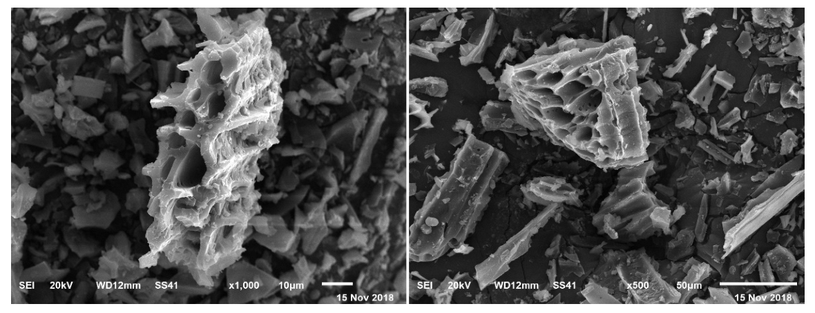 Agriculture 12 01723 g001