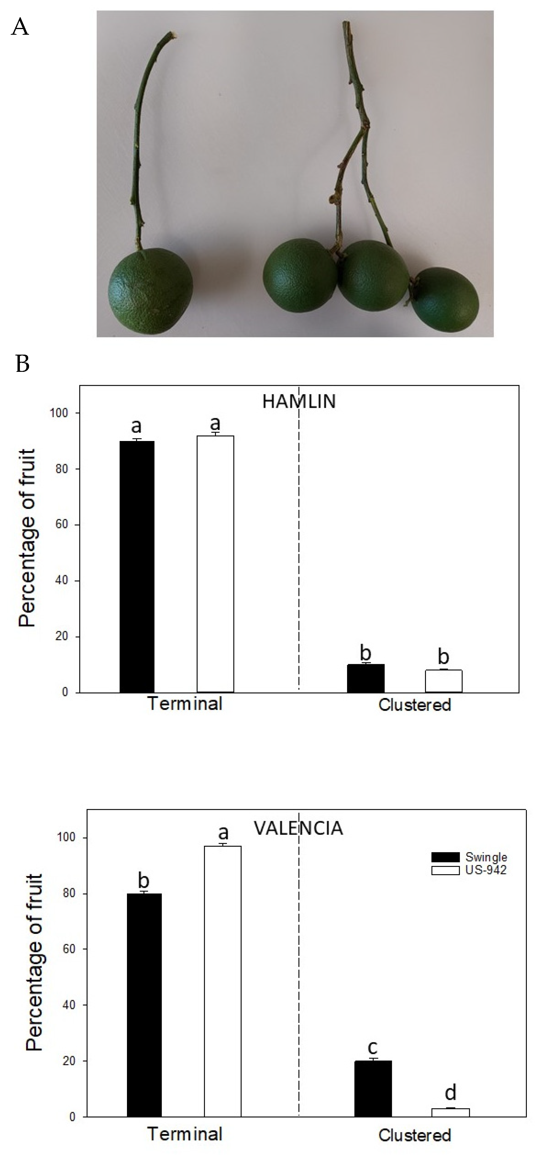 Agriculture 12 01750 g001