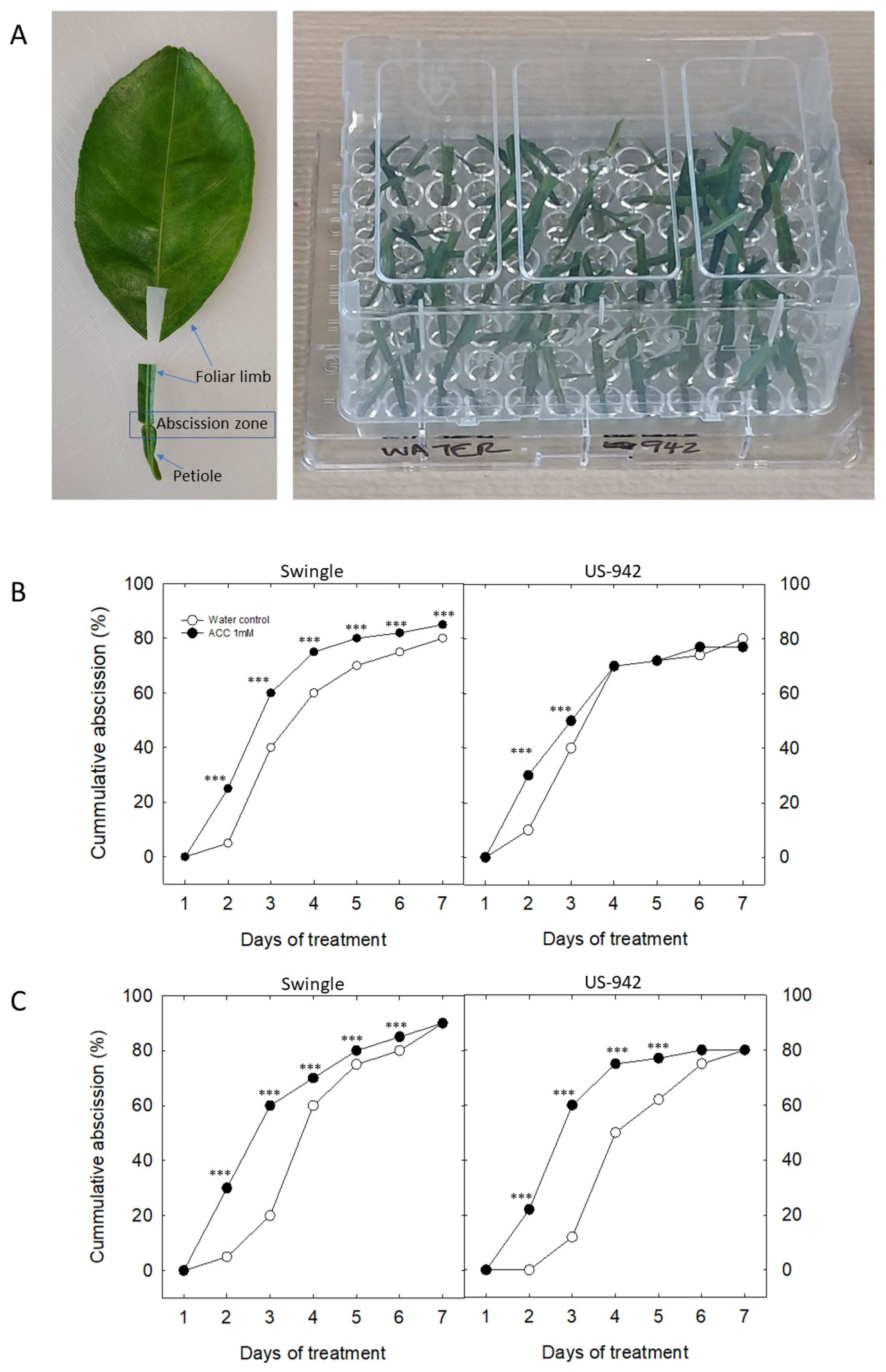 Agriculture 12 01750 g004