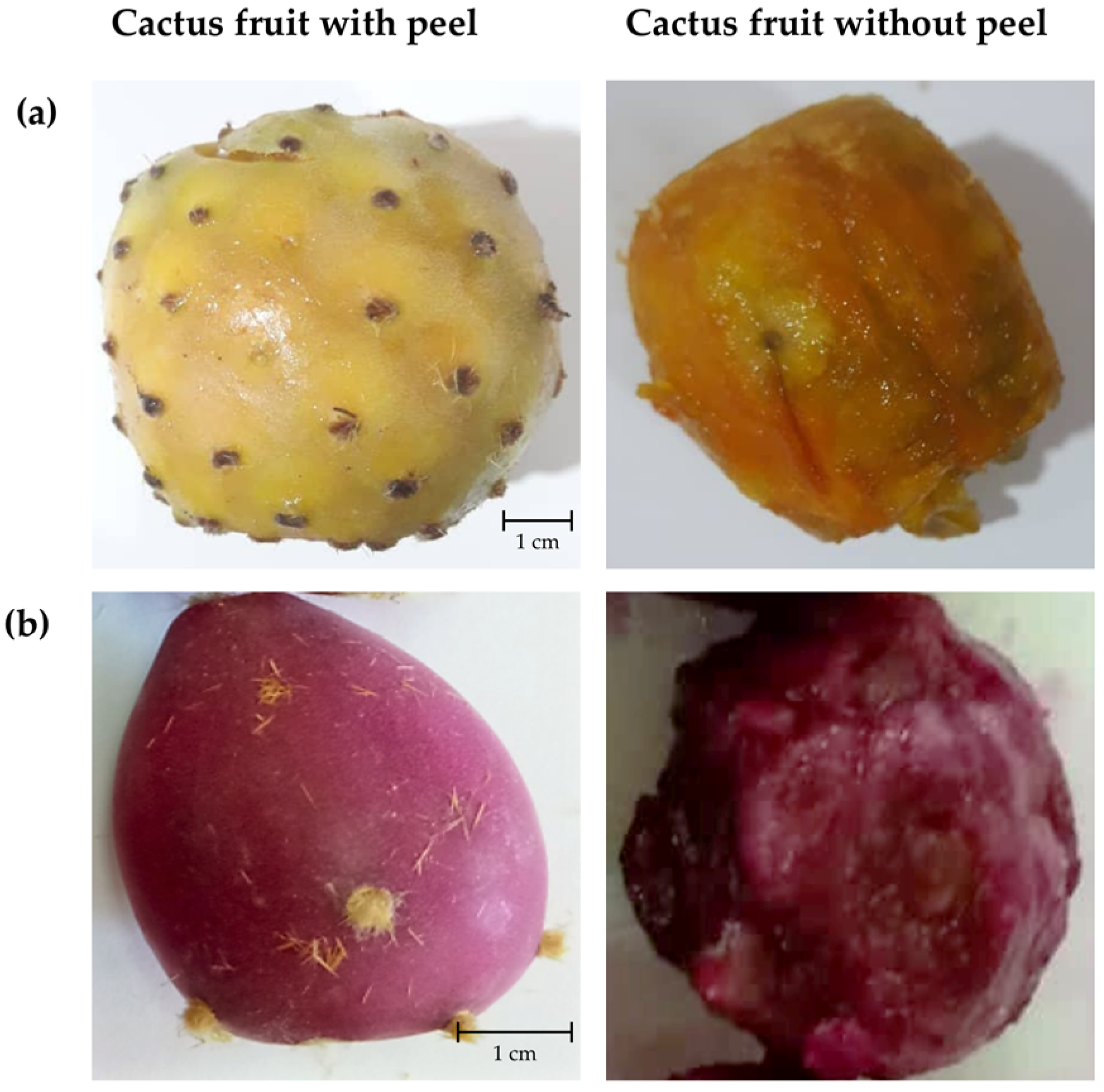 Agriculture 12 01755 g001