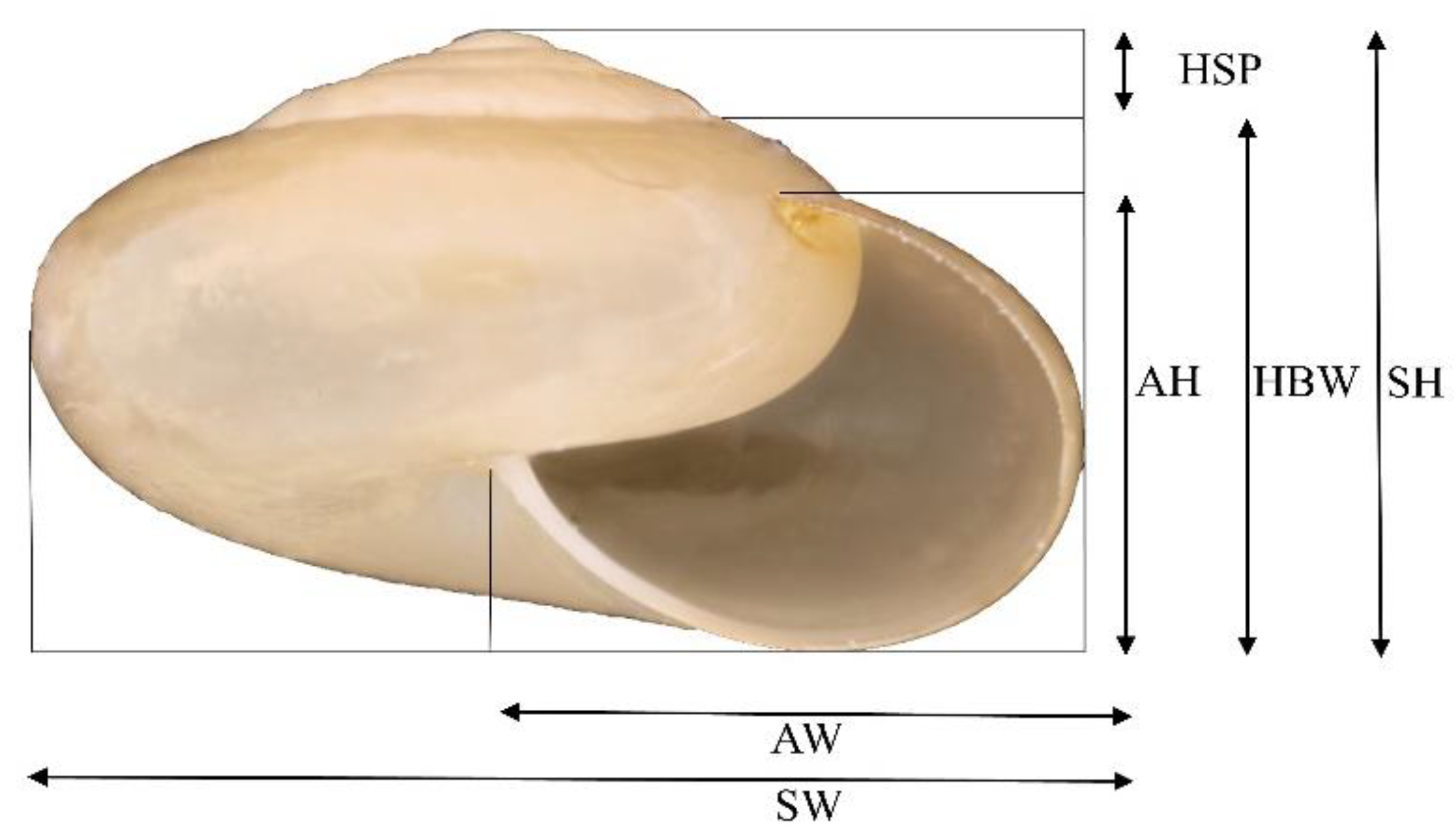 Agriculture 12 01756 g001