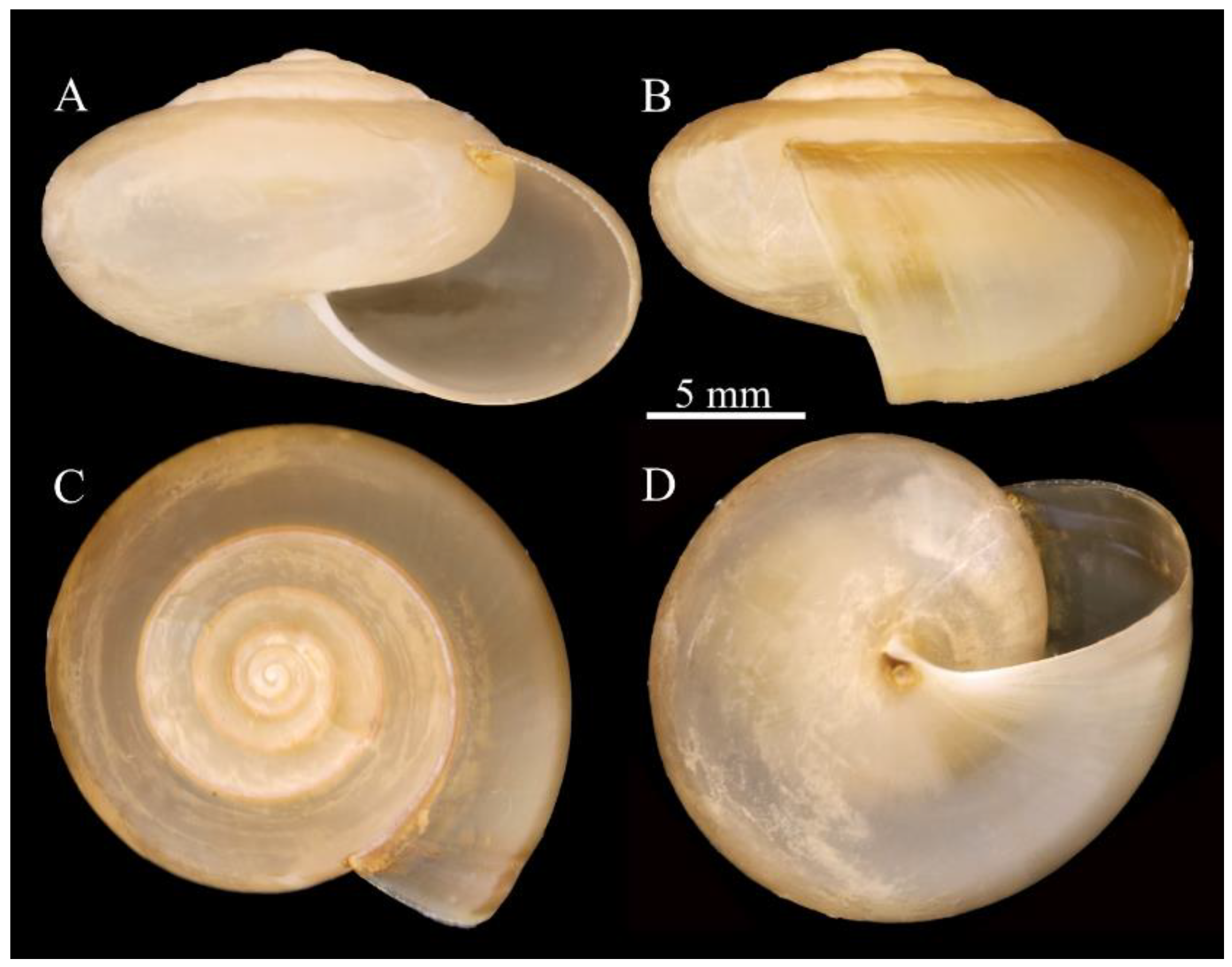 Agriculture 12 01756 g003