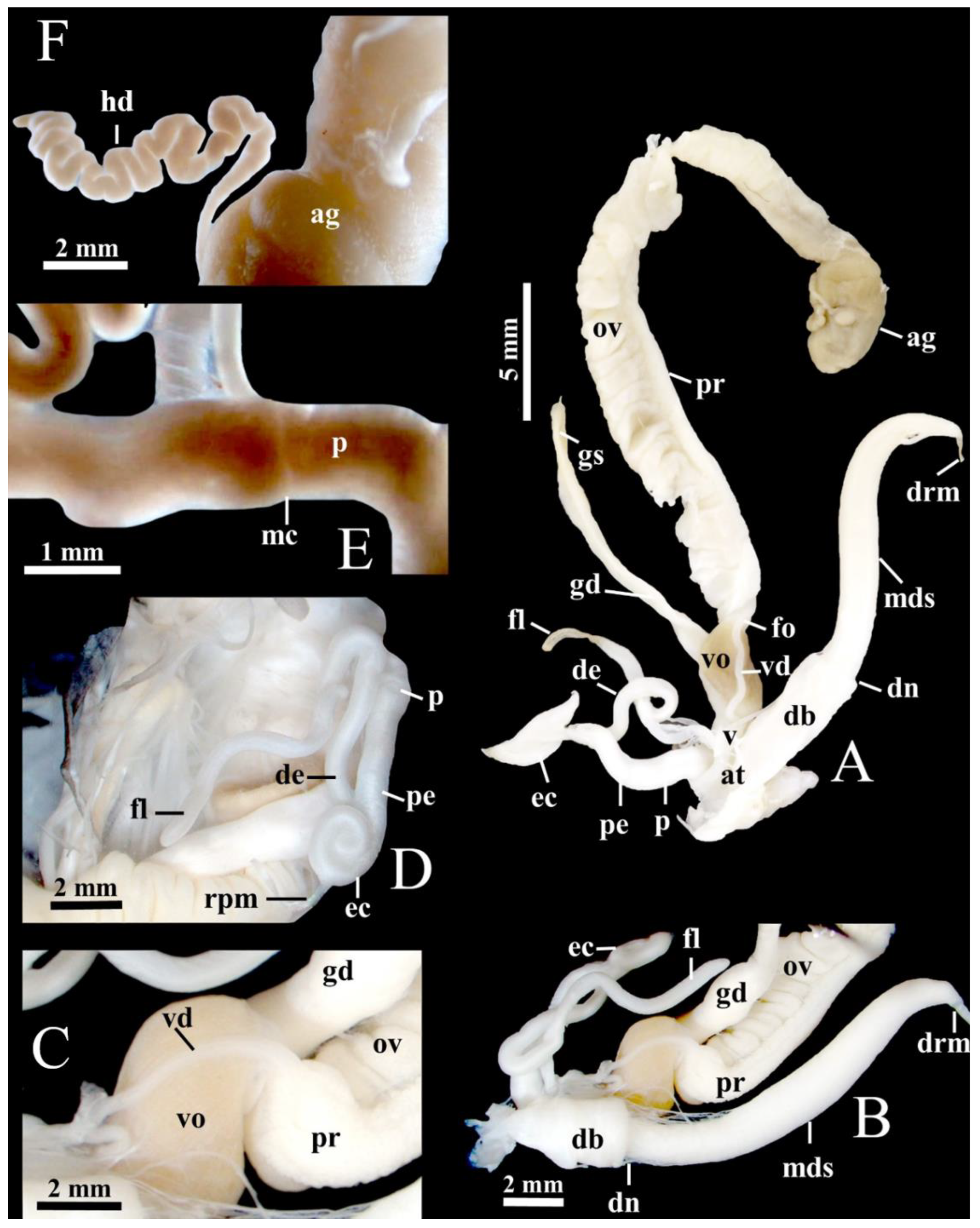 Agriculture 12 01756 g005
