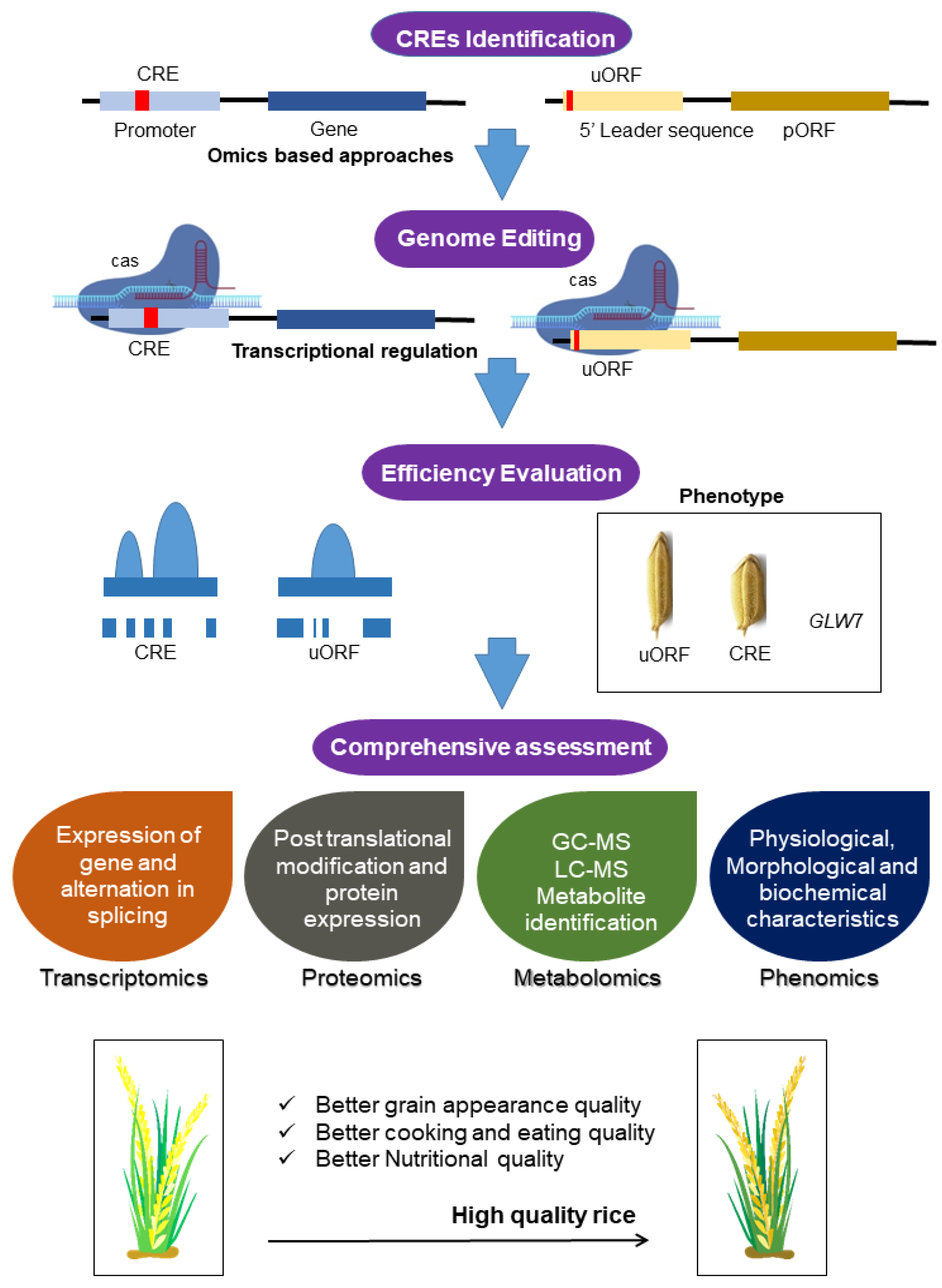 Agriculture 12 01757 g002 Agriculture 12 01757 g002