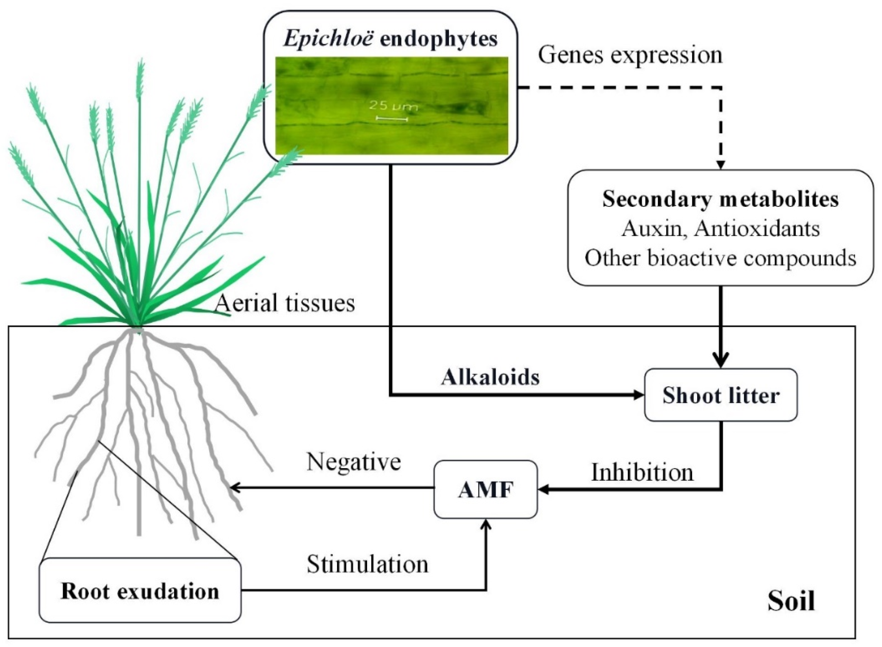 Agriculture 12 01768 g003 Agriculture 12 01768 g003