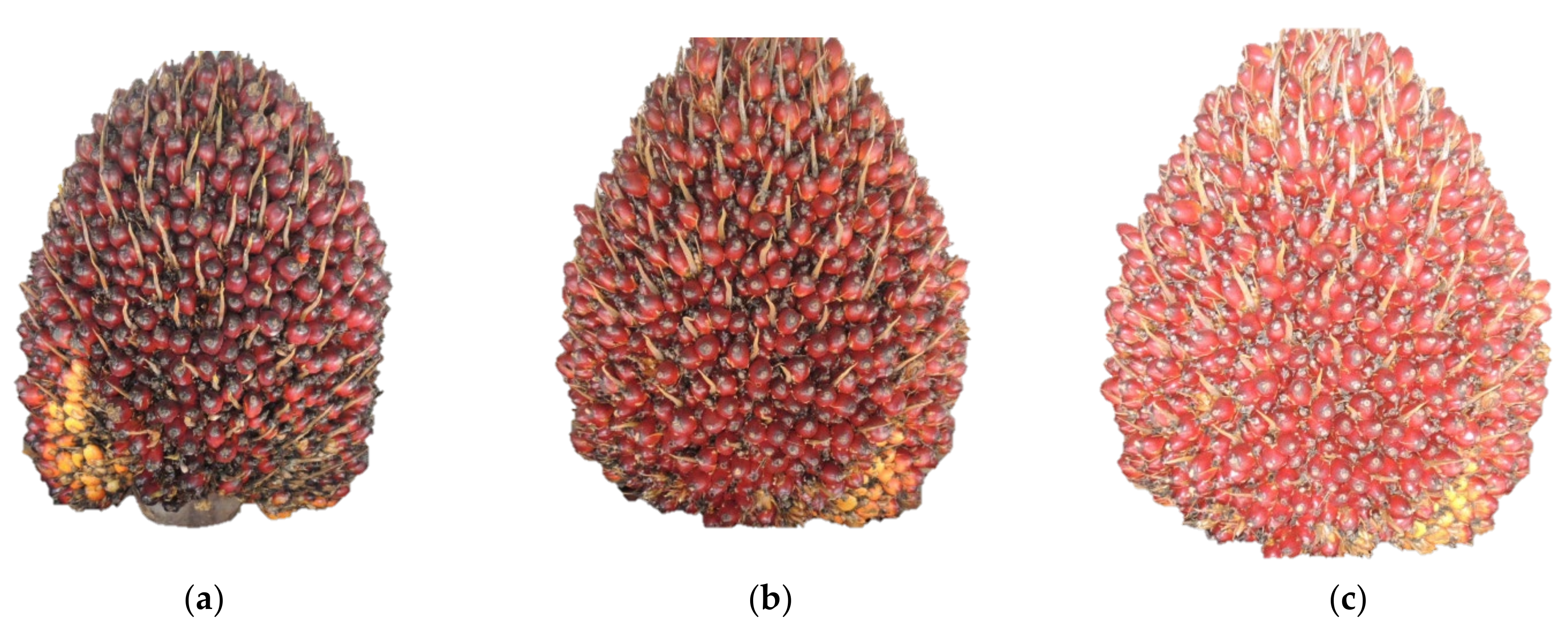 Agriculture 12 01779 g003 Agriculture 12 01779 g003