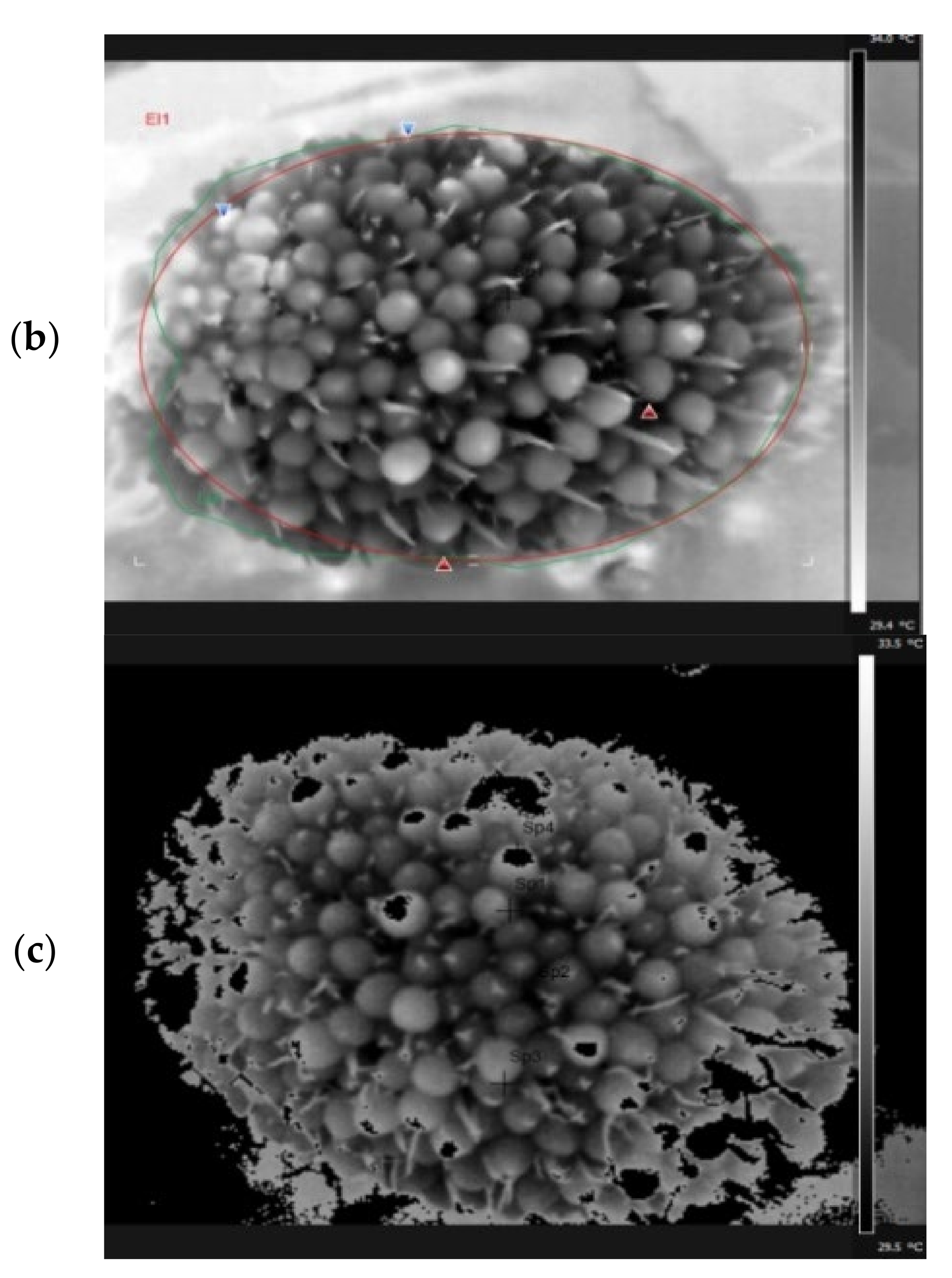 Agriculture 12 01779 g006b Agriculture 12 01779 g006b