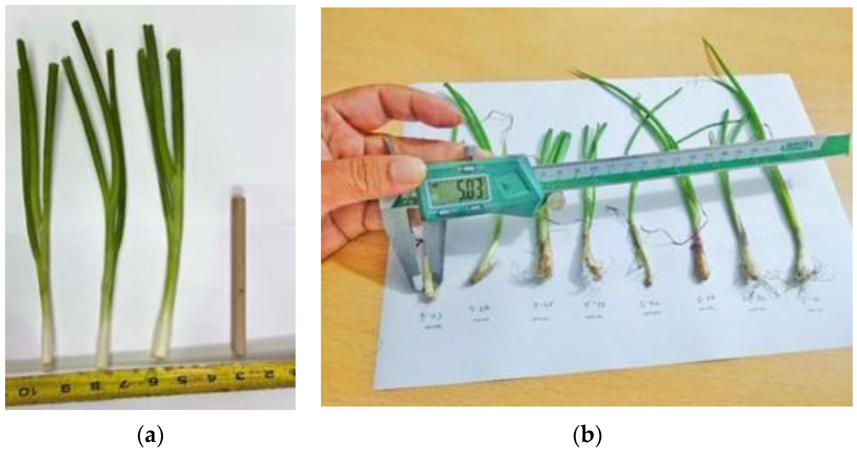 Agriculture 12 01790 g012