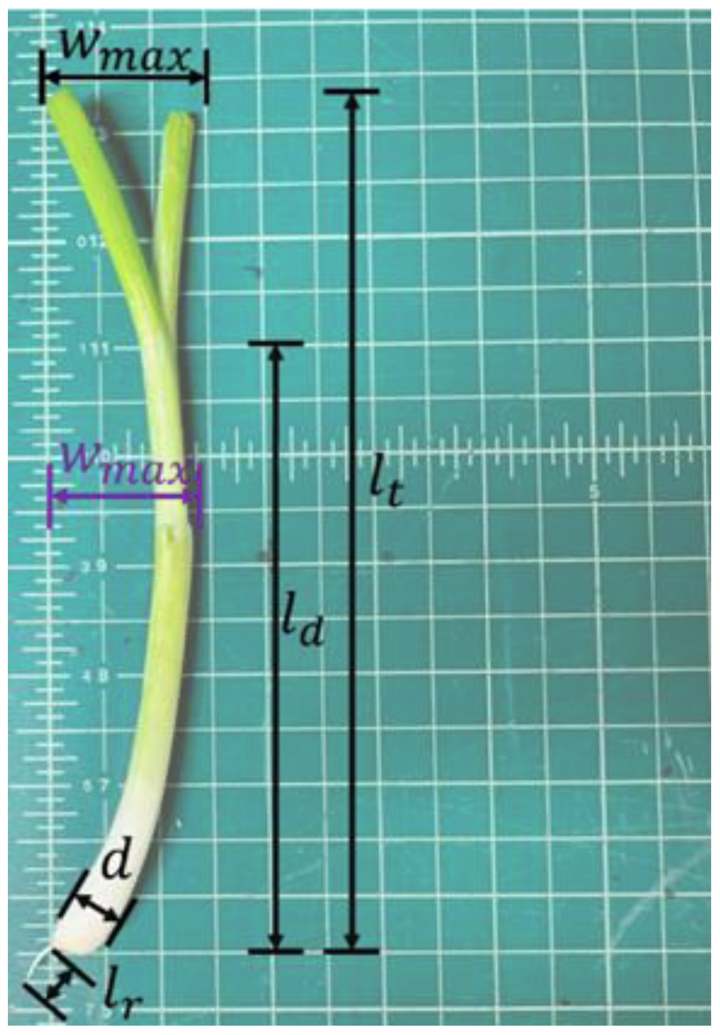 Agriculture 12 01790 g013