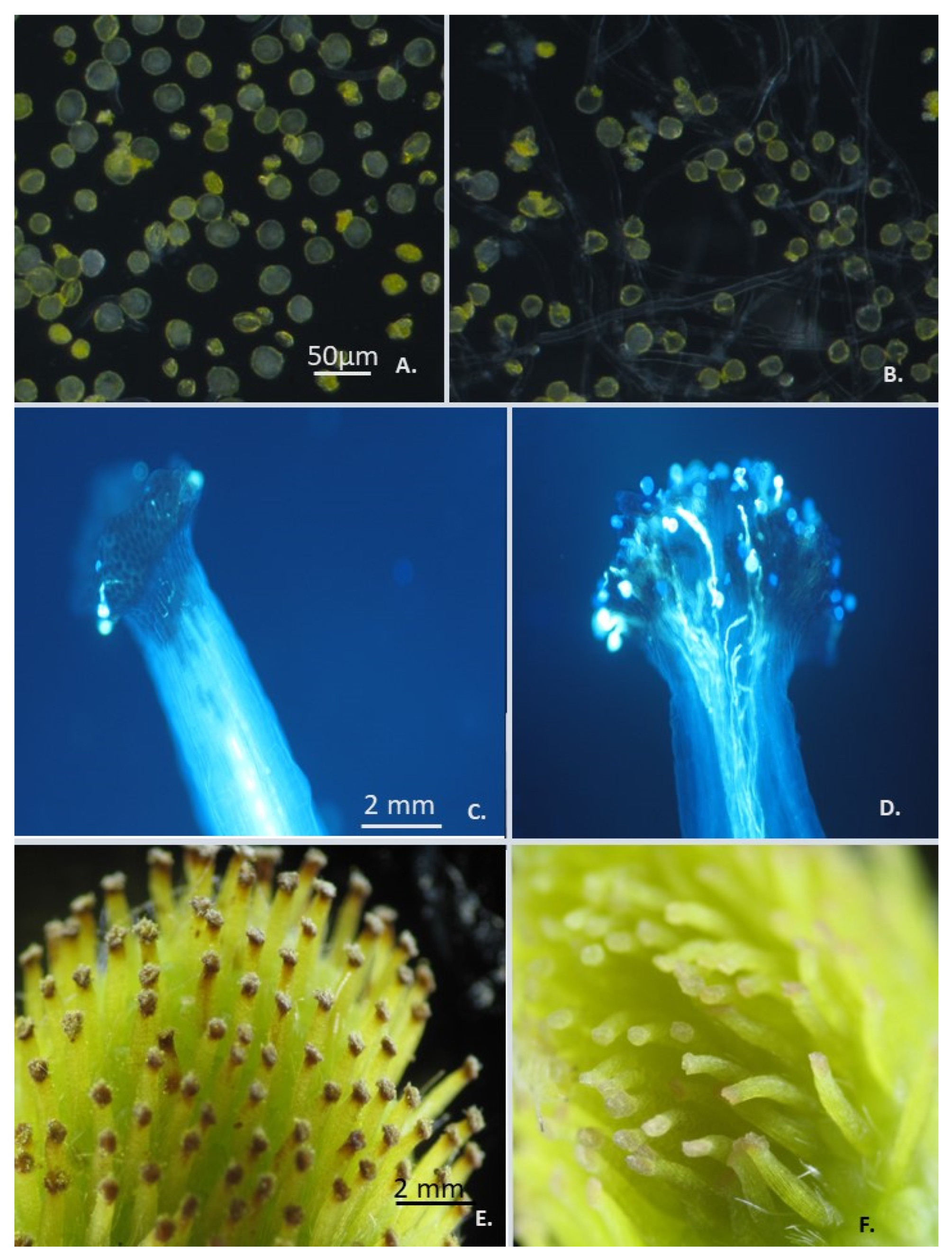 Agriculture 12 01795 g002