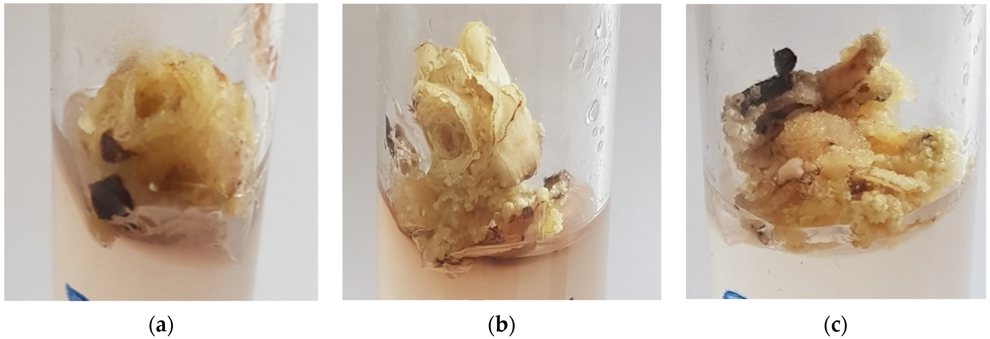 Agriculture 12 01812 g006