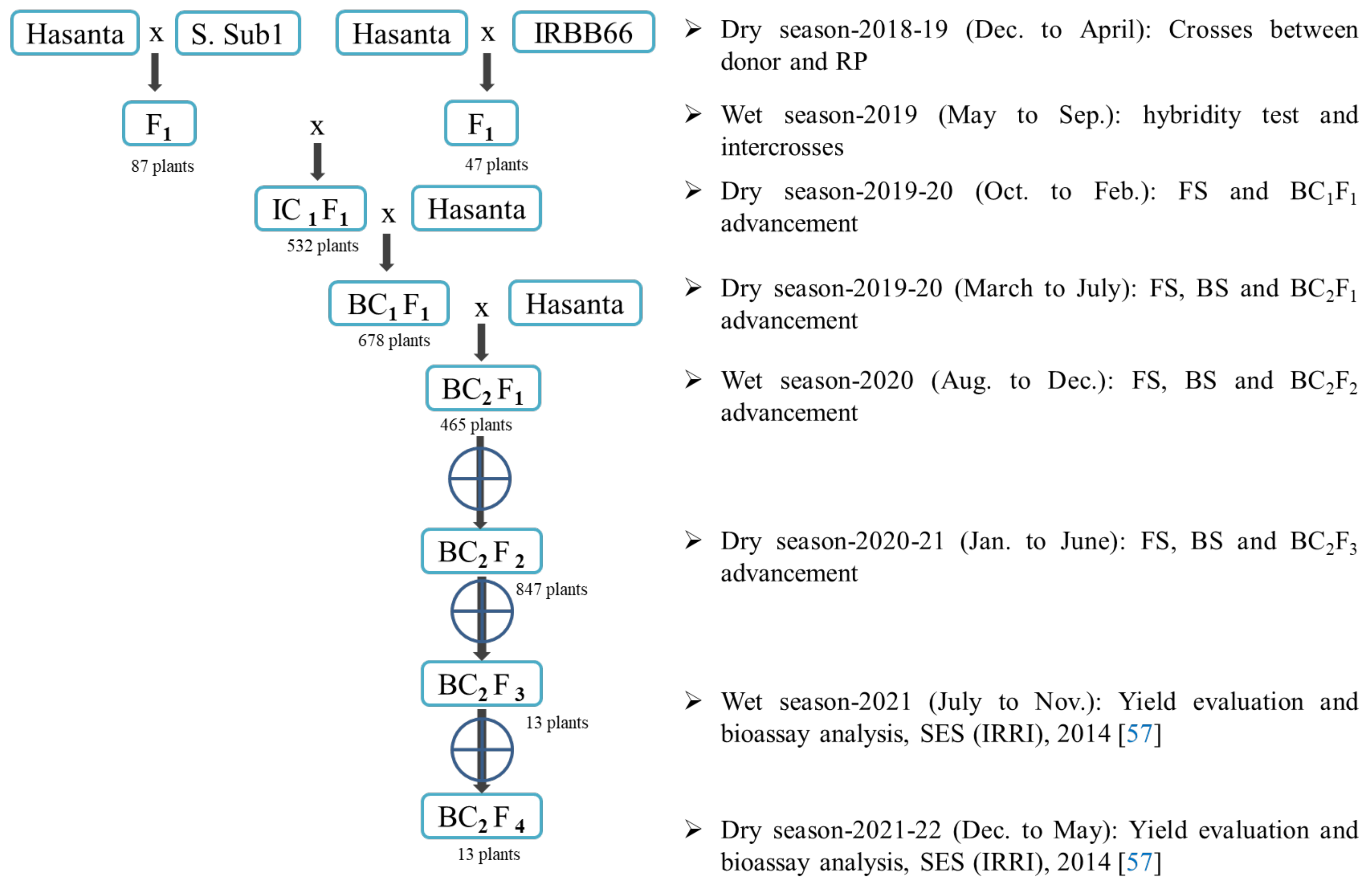 Agriculture 12 01815 g001