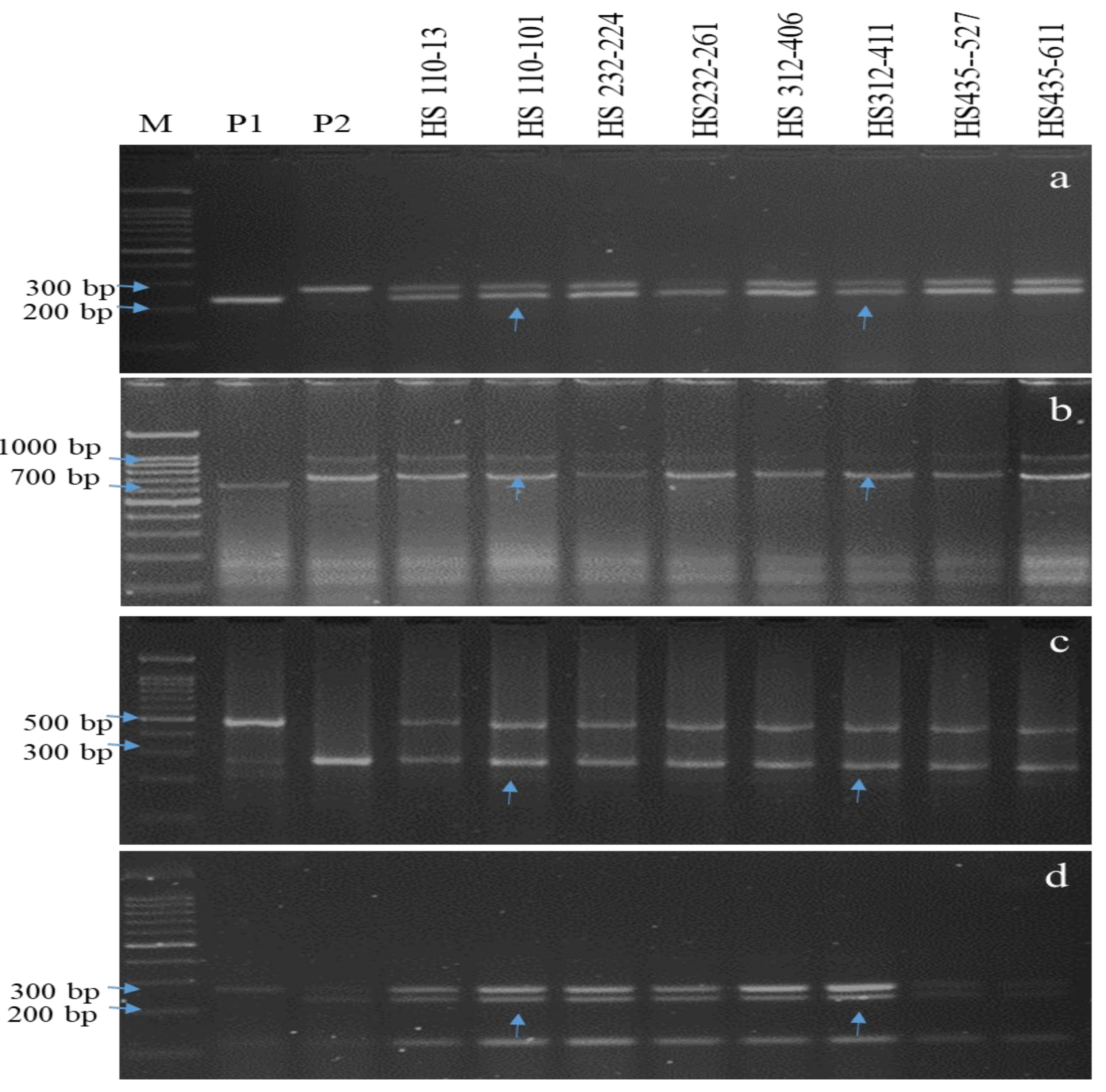Agriculture 12 01815 g003