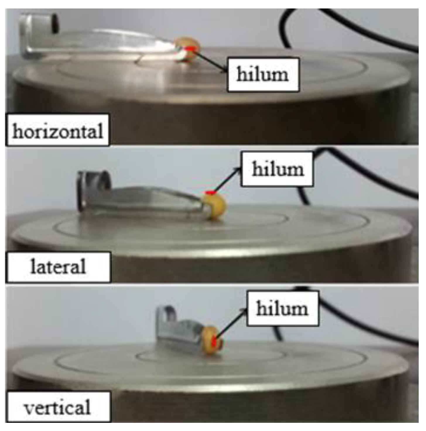 Agriculture 12 01825 g001