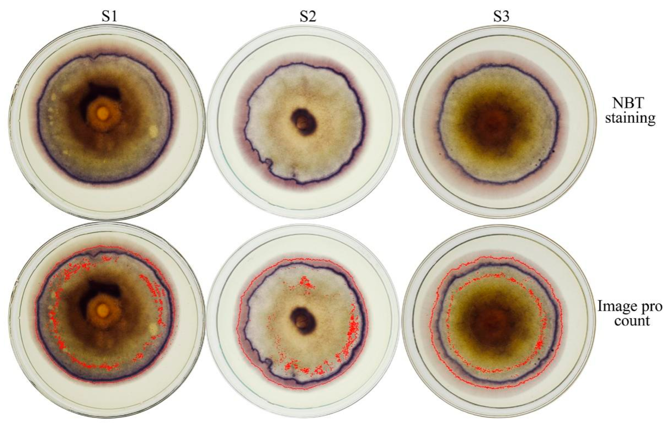 Agriculture 12 01840 g002