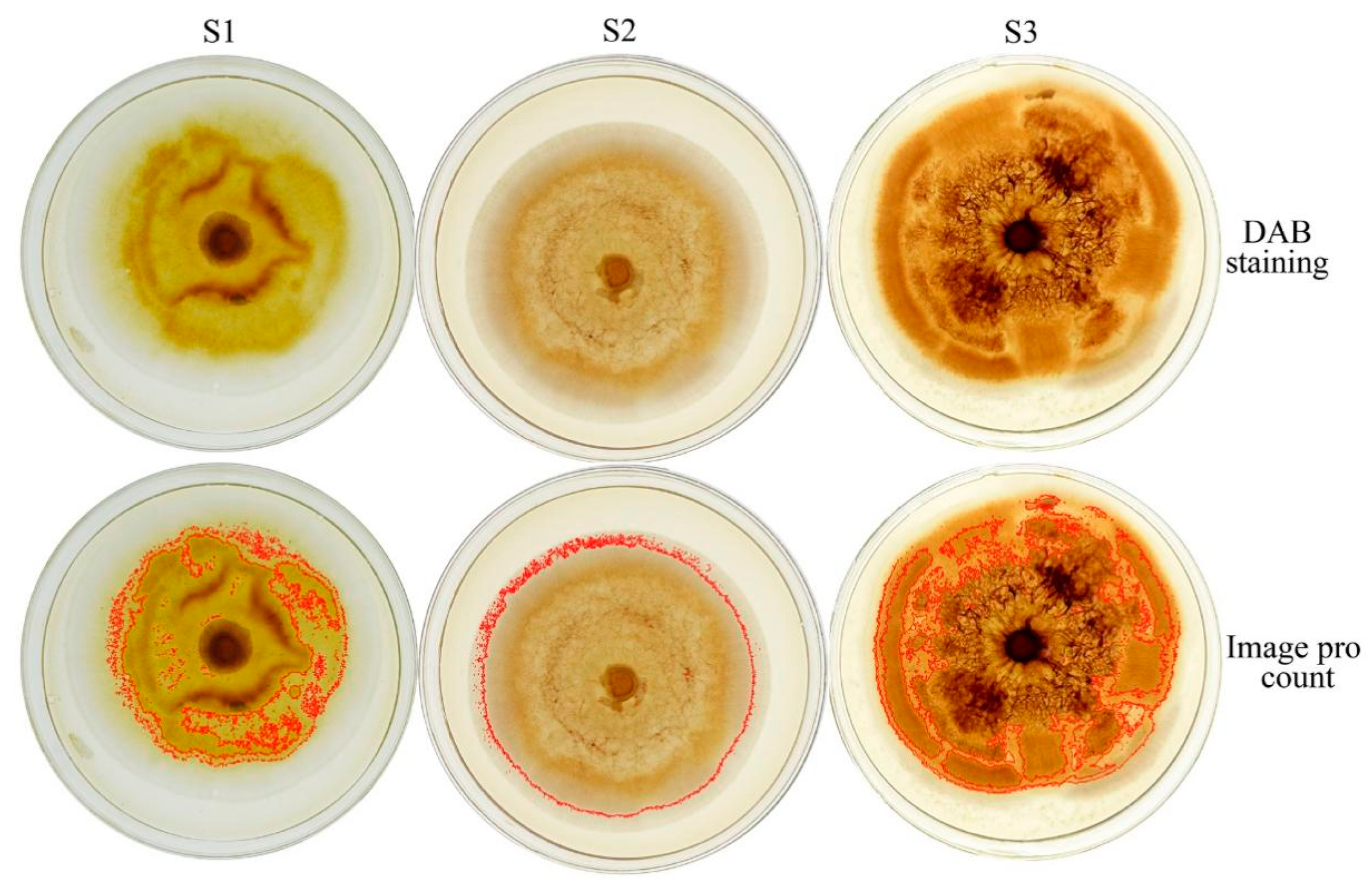 Agriculture 12 01840 g003