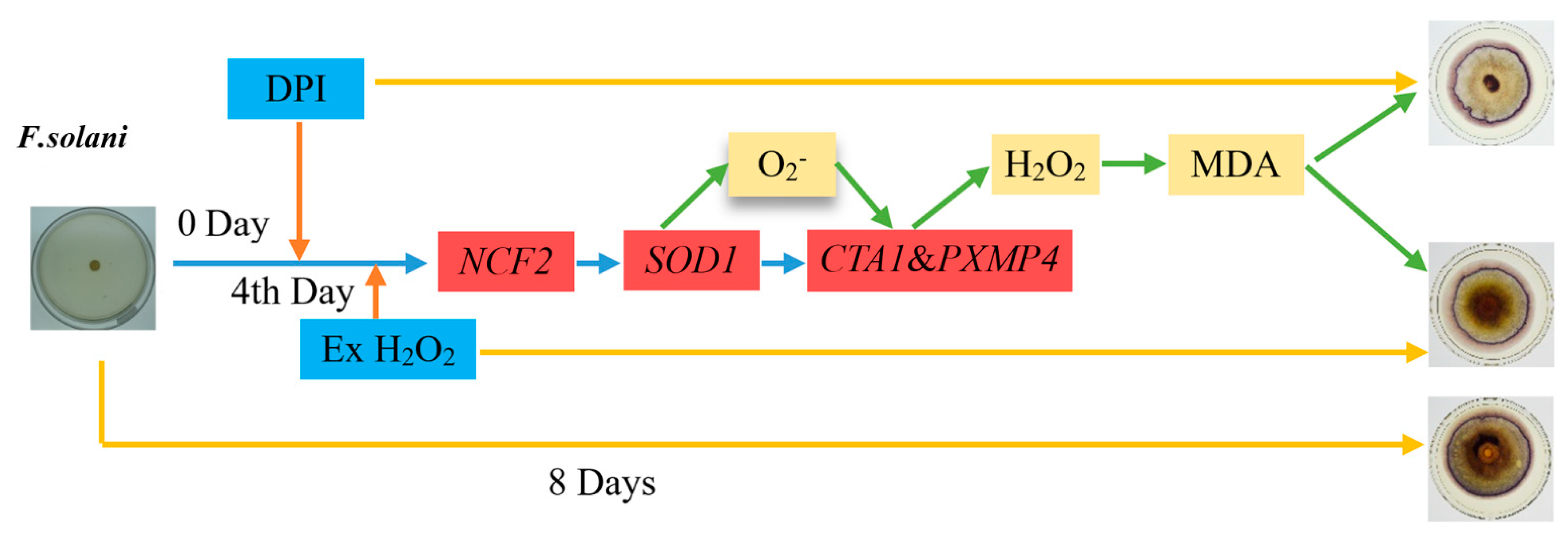 Agriculture 12 01840 g007