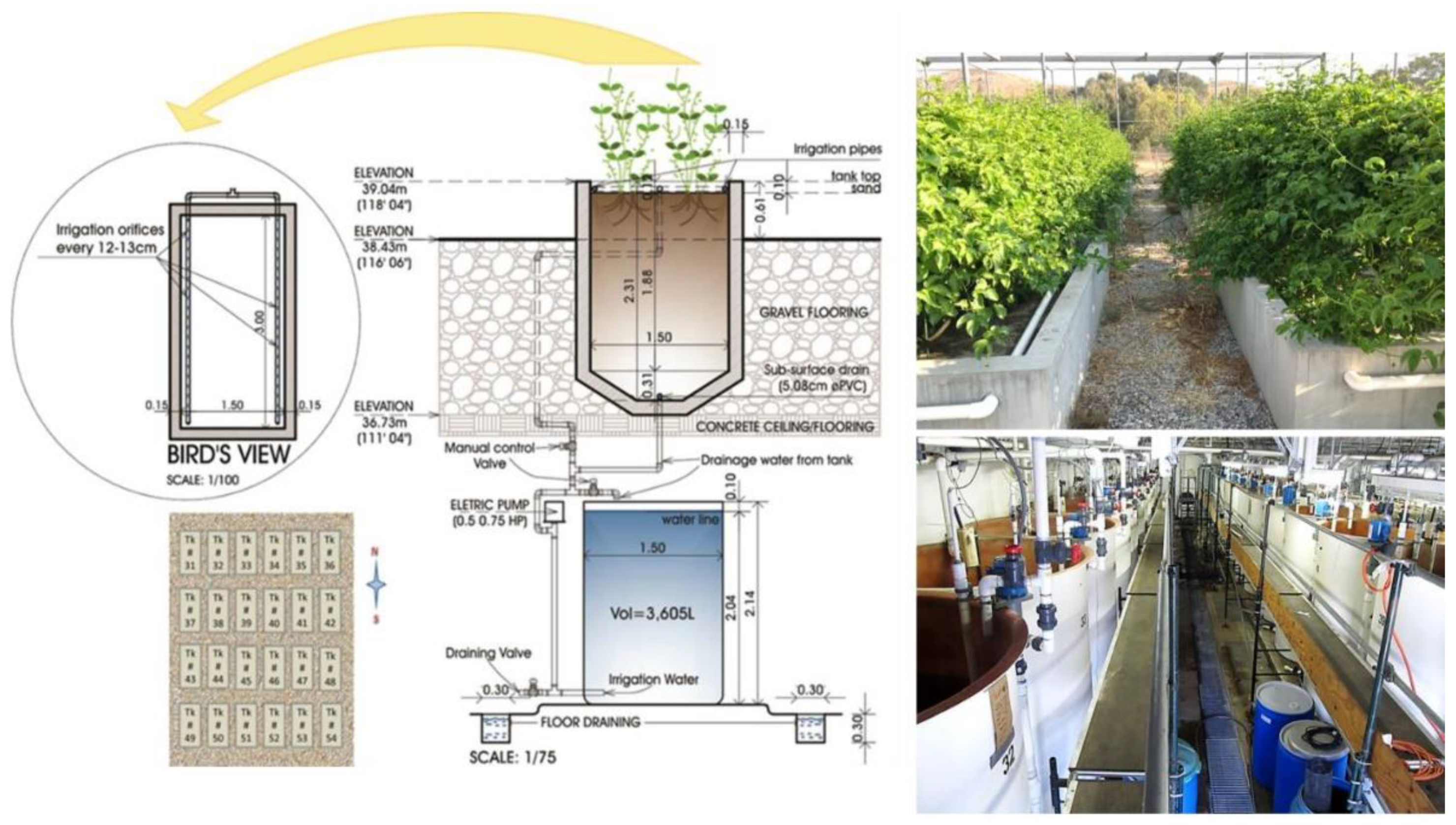 Agriculture 12 01856 g001