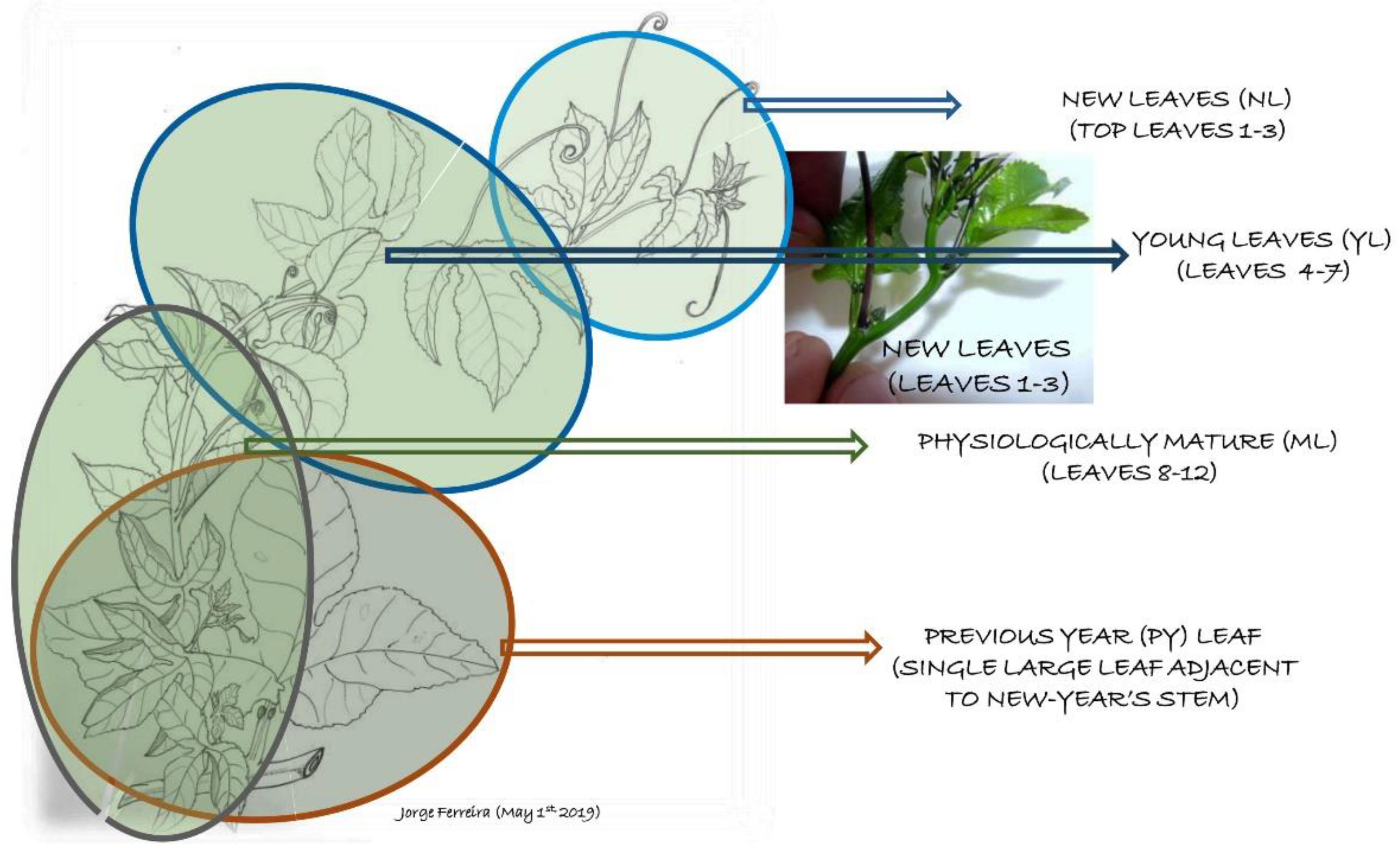 Agriculture 12 01856 g002