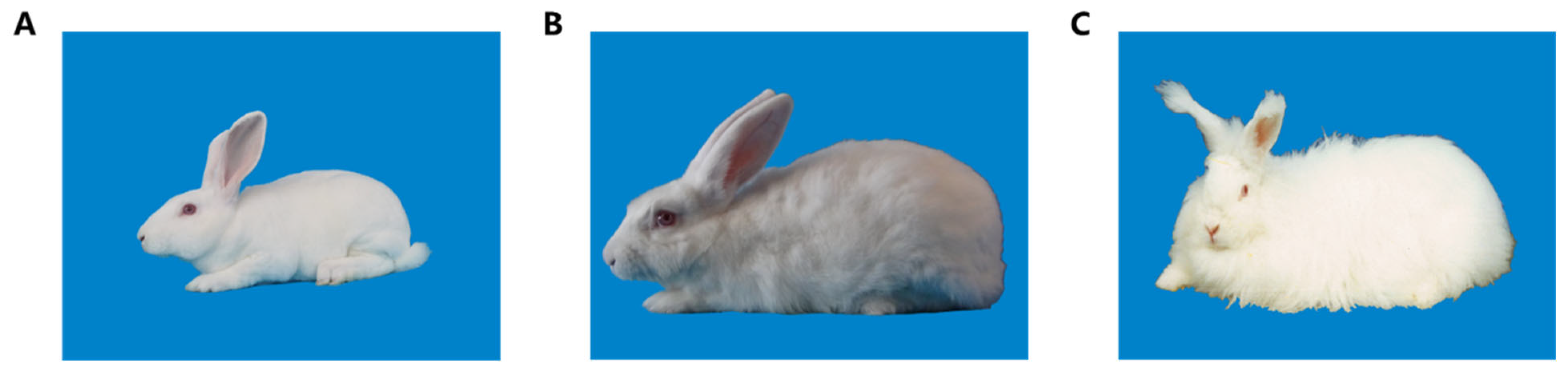 Agriculture 12 01858 g001 Agriculture 12 01858 g001