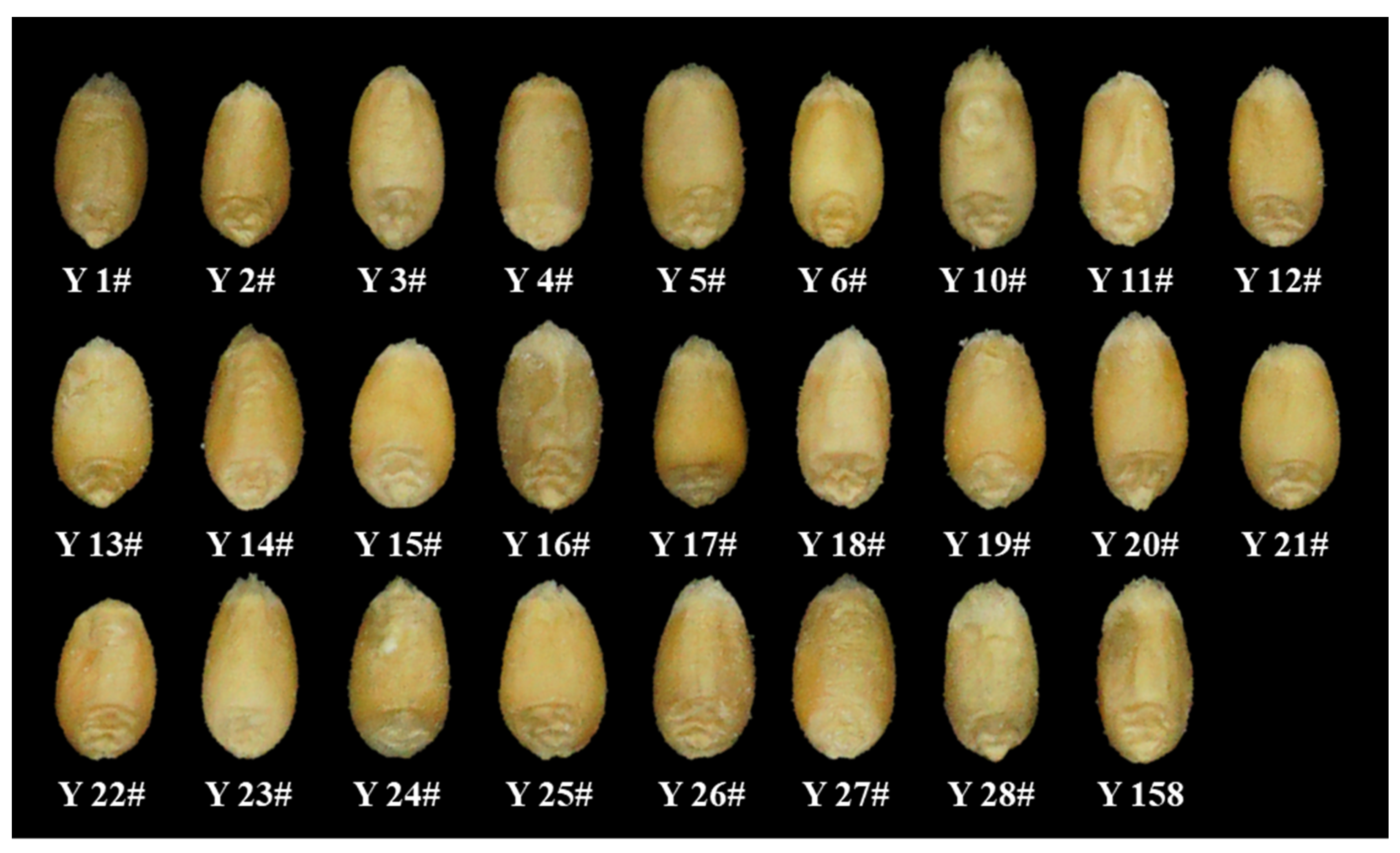 Agriculture 12 01861 g001