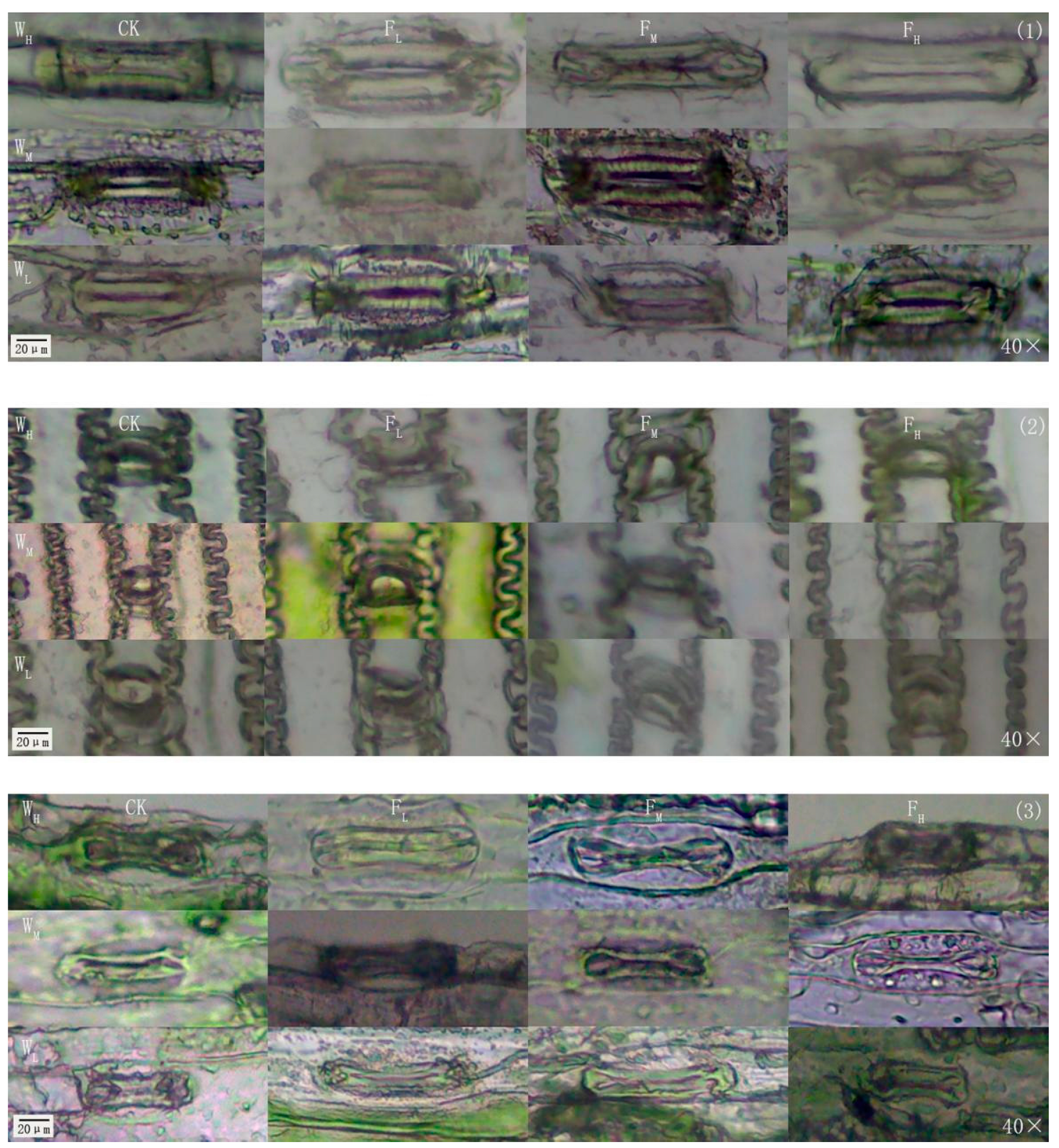 Agriculture 12 01873 g010