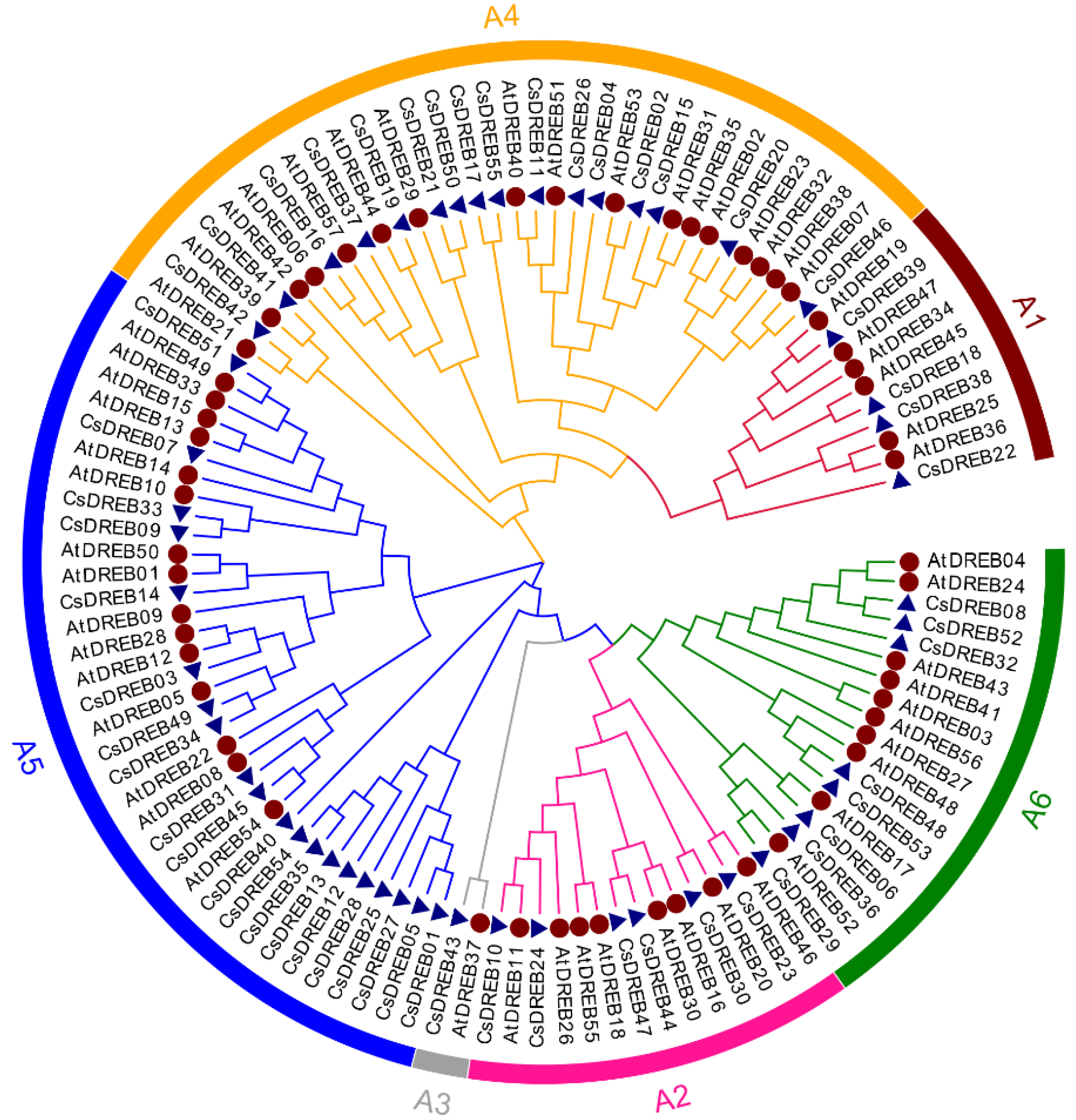 Agriculture 12 01879 g002