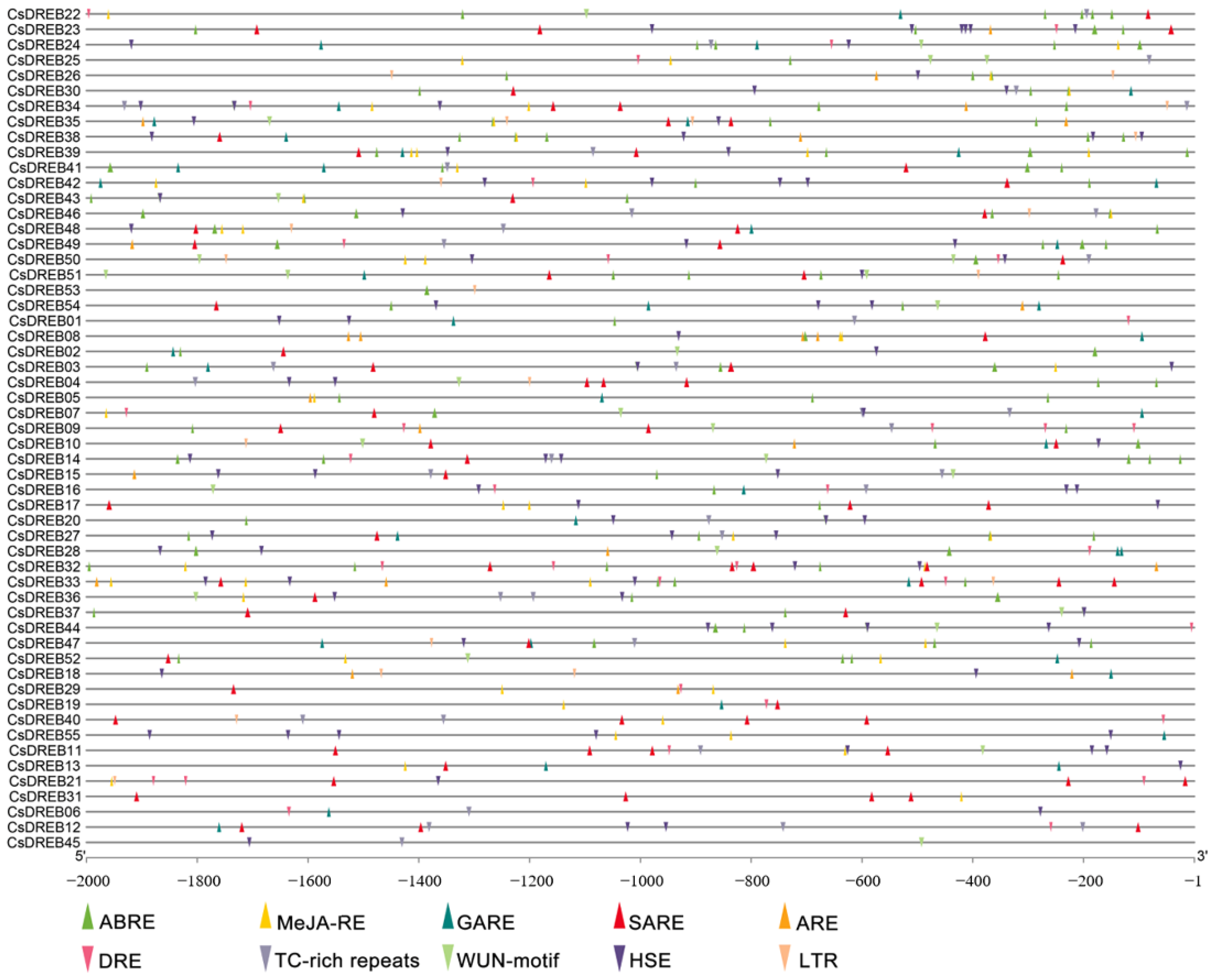 Agriculture 12 01879 g004