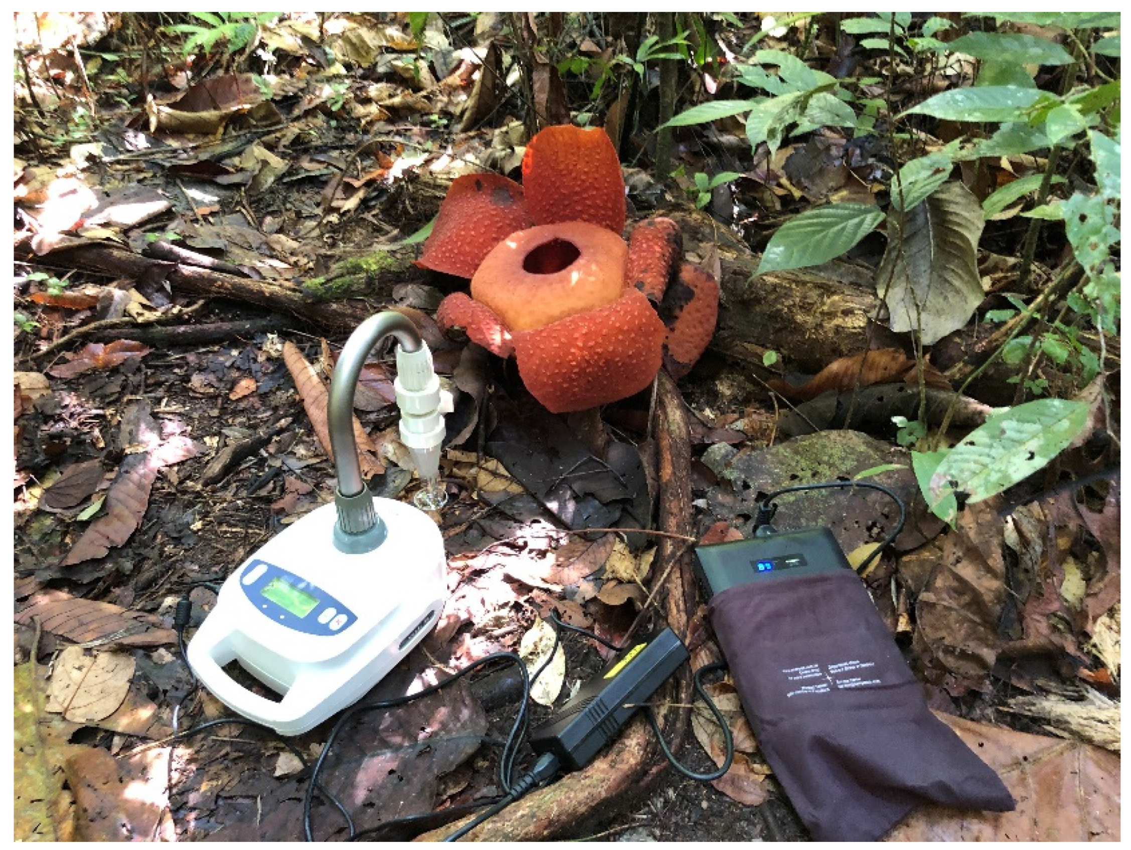 Agriculture 12 01890 g001