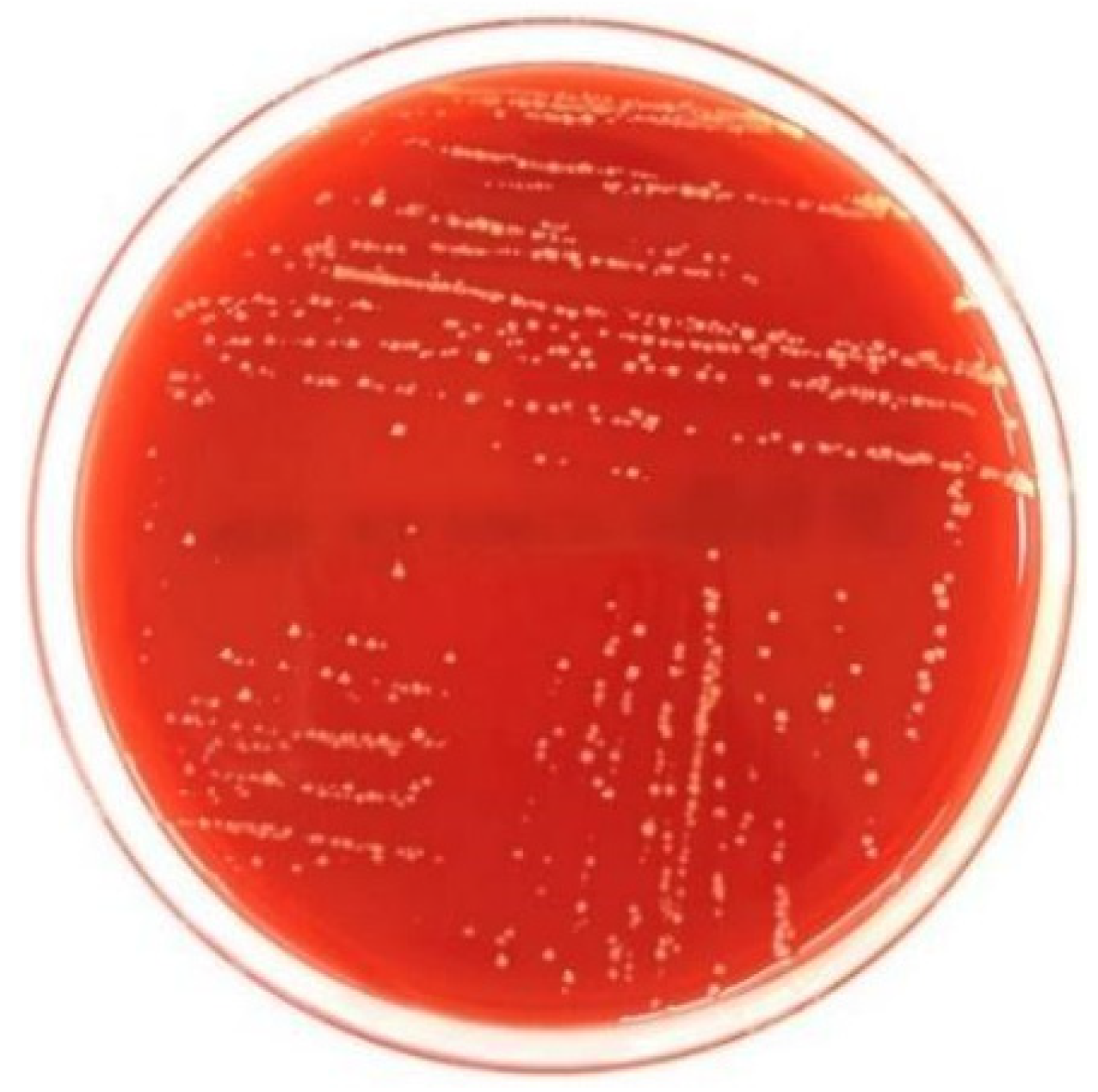 Agriculture 12 01890 g002