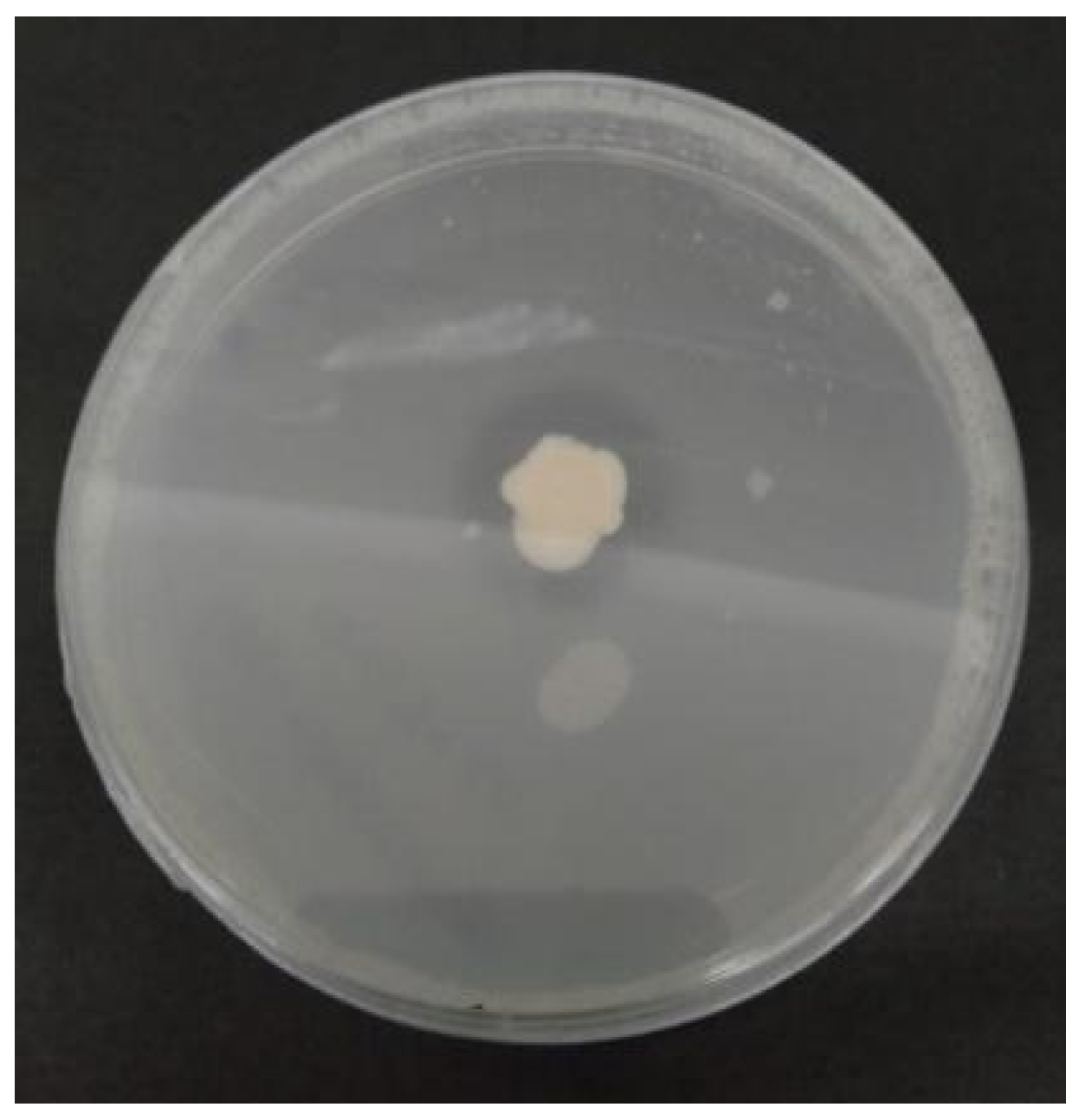 Agriculture 12 01890 g003