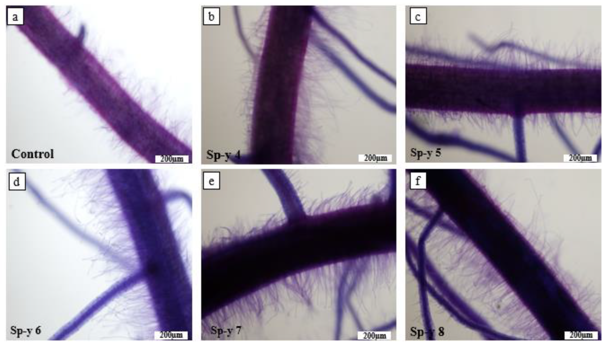 Agriculture 12 01890 g004