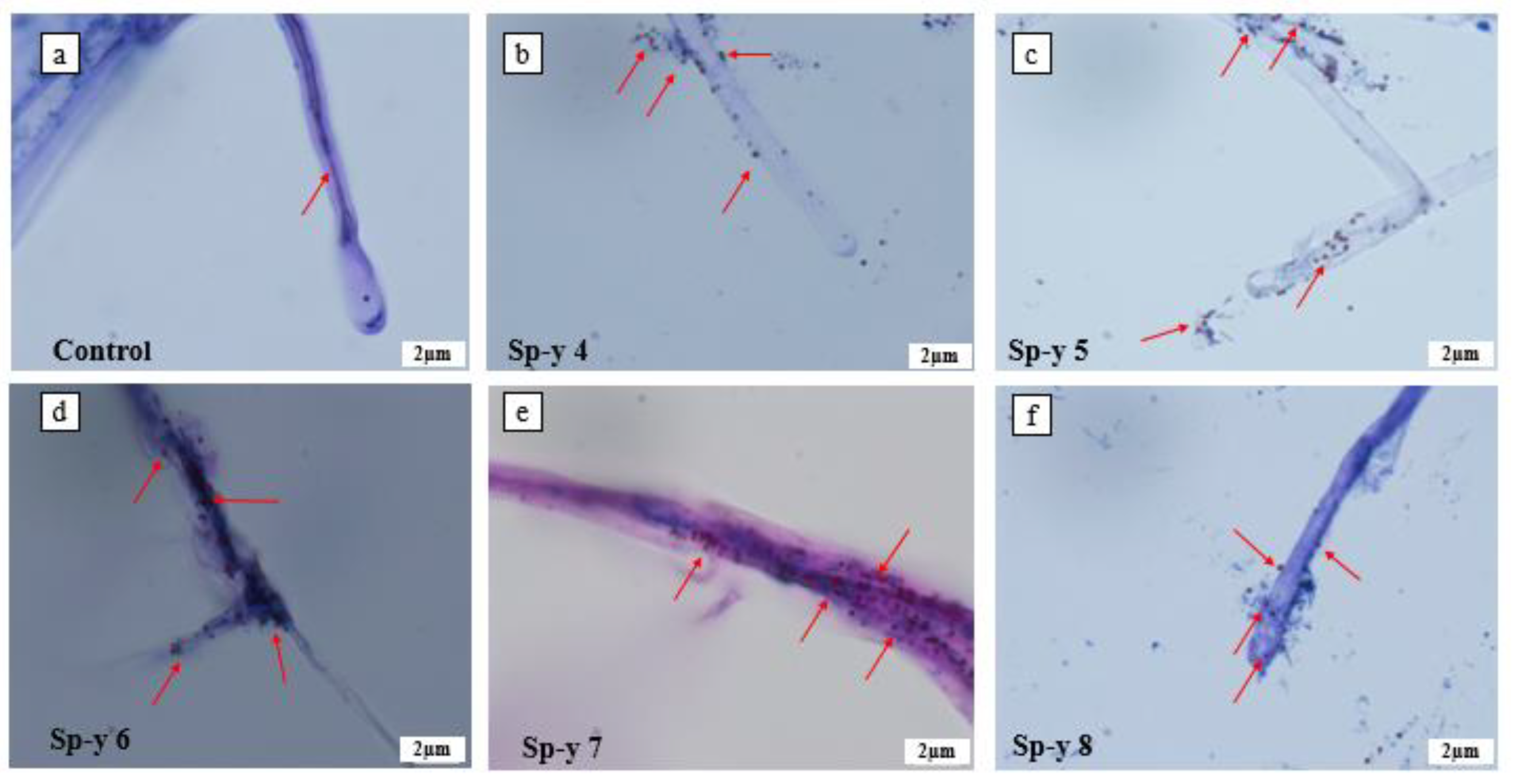 Agriculture 12 01890 g005
