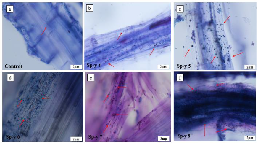 Agriculture 12 01890 g006