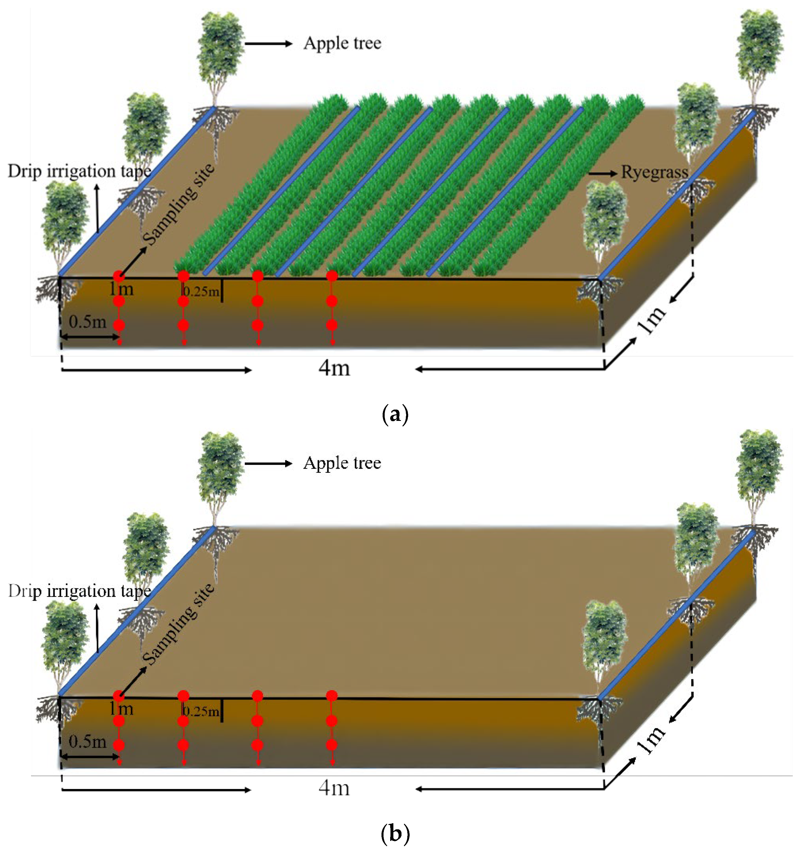 Agriculture 12 01895 g001