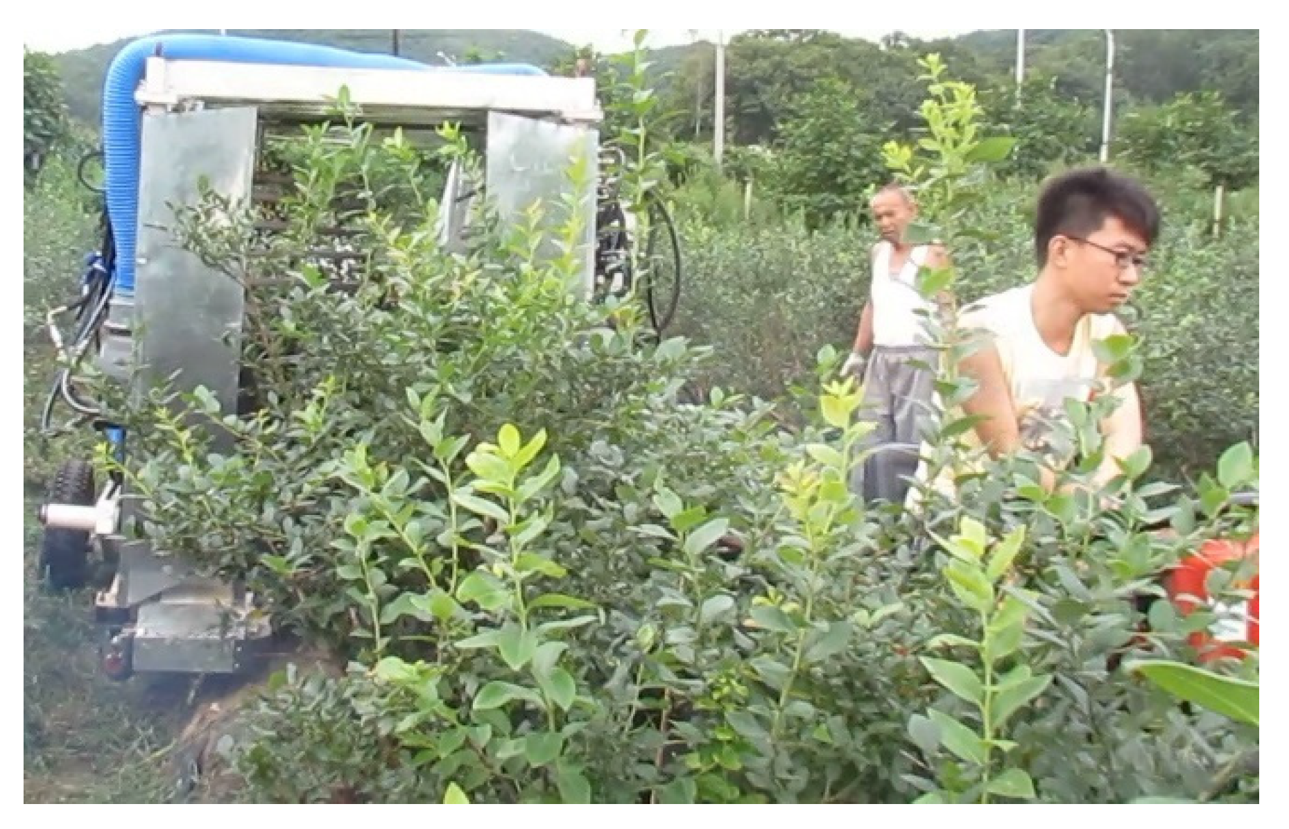 Agriculture 12 01900 g009