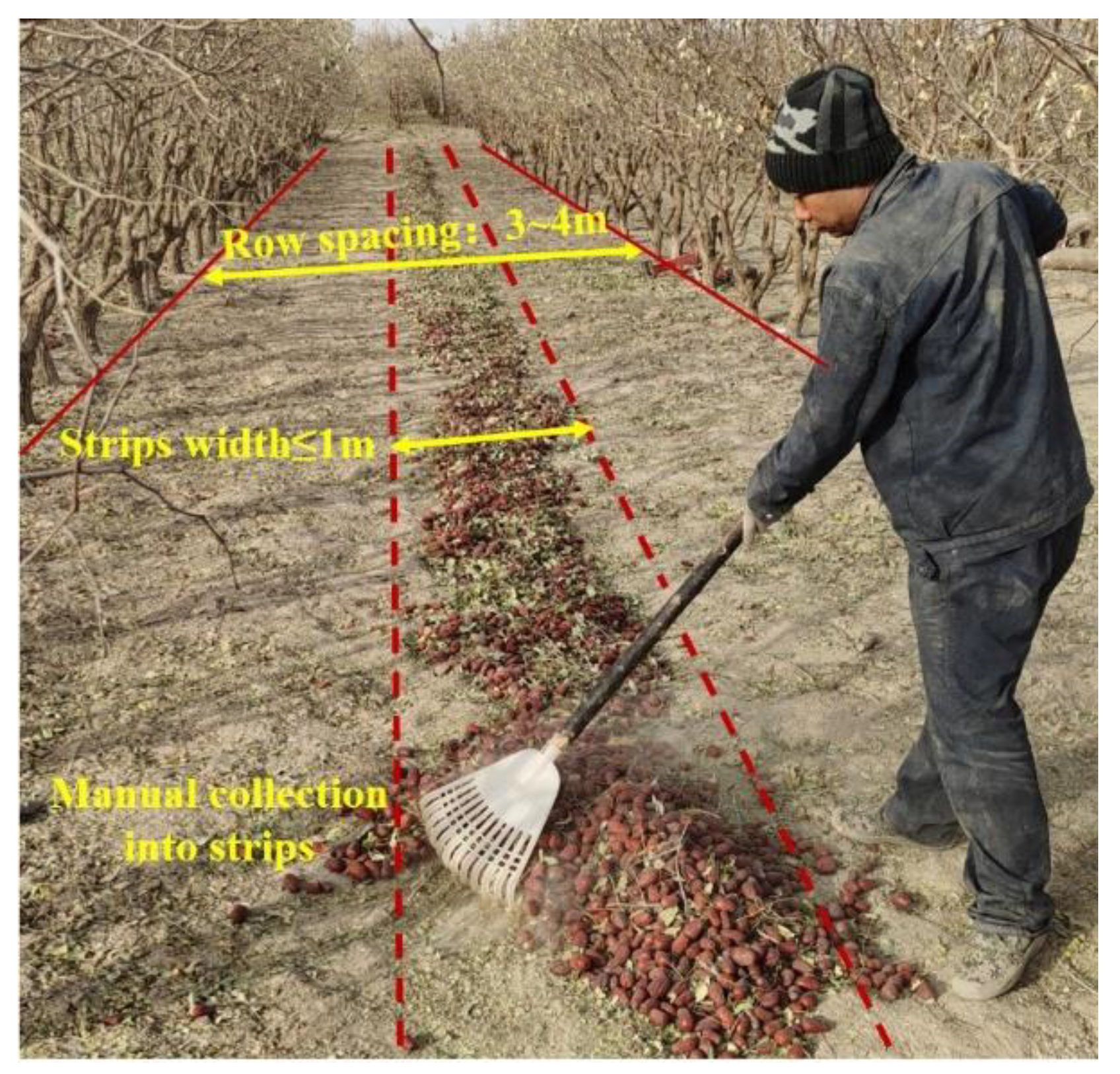 Agriculture 12 01904 g001