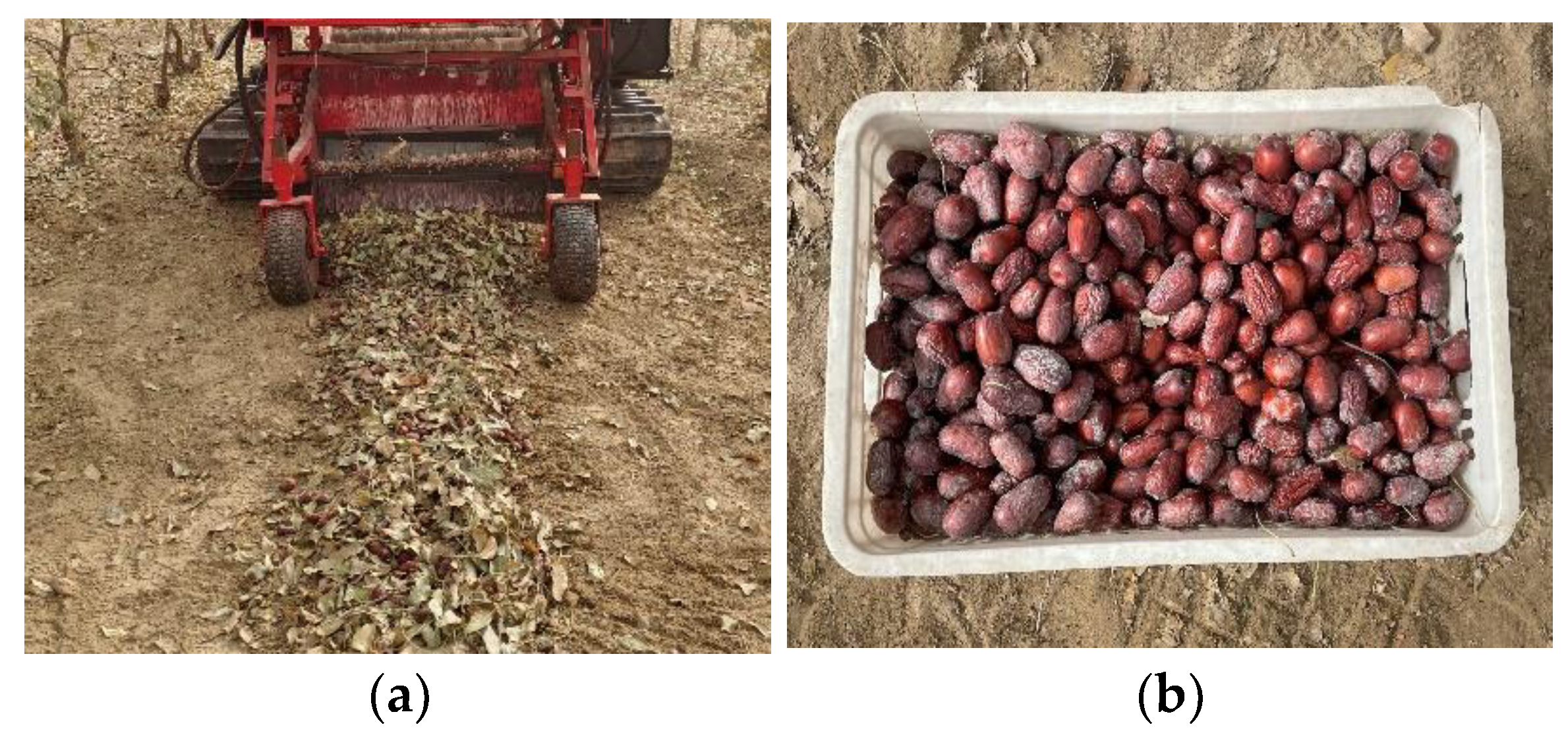 Agriculture 12 01904 g015