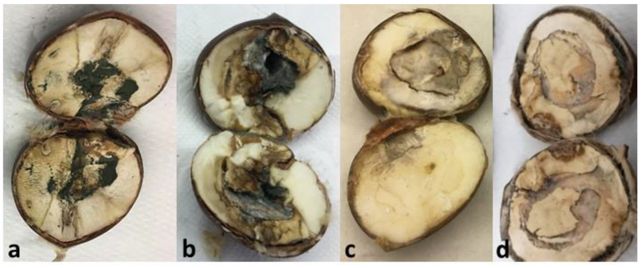 Agriculture 12 01930 g006 Agriculture 12 01930 g006