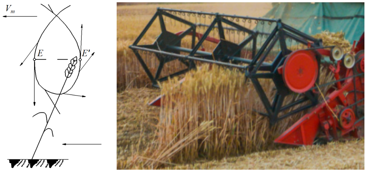 Agriculture 12 01935 g002