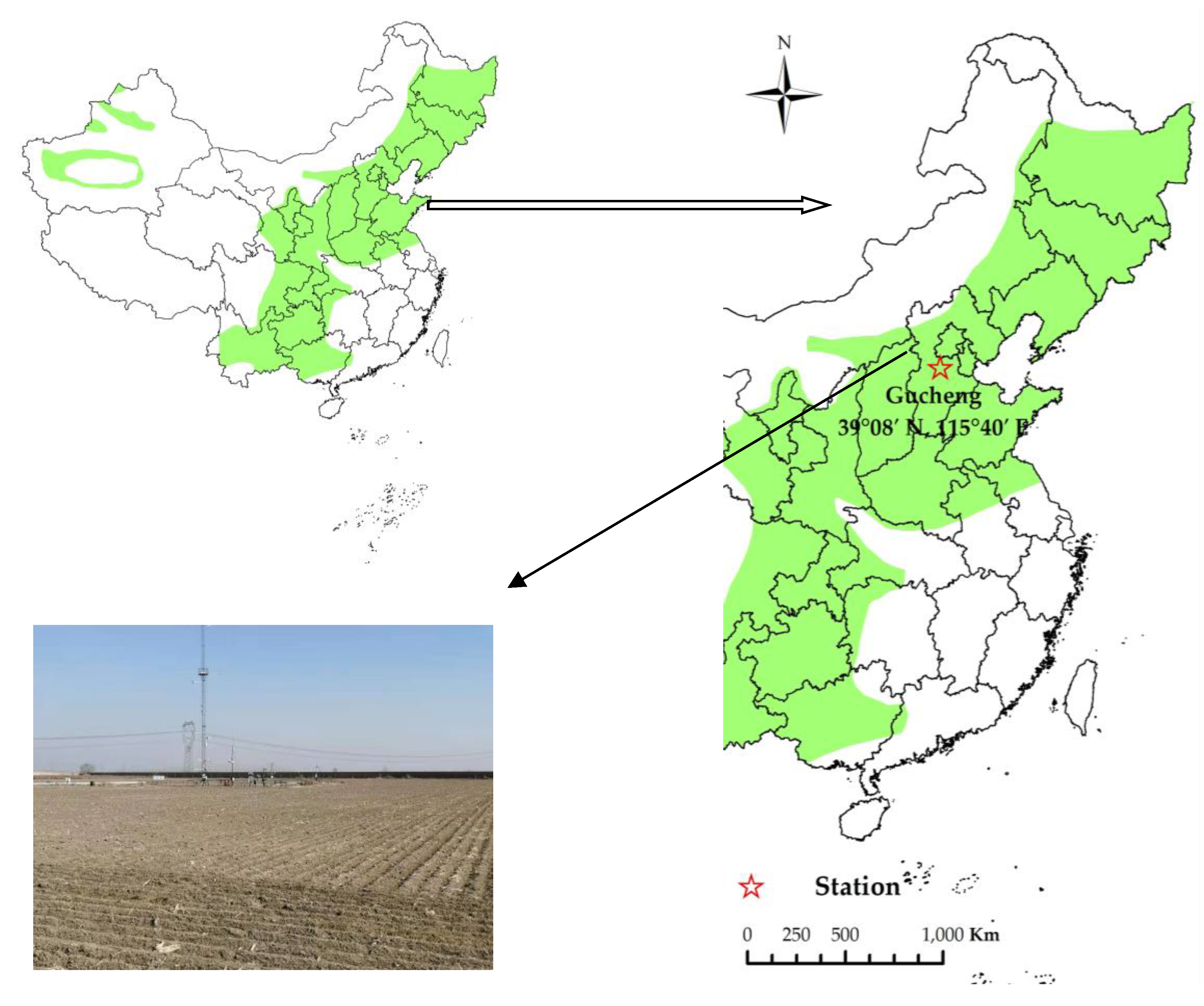 Agriculture 12 01948 g001