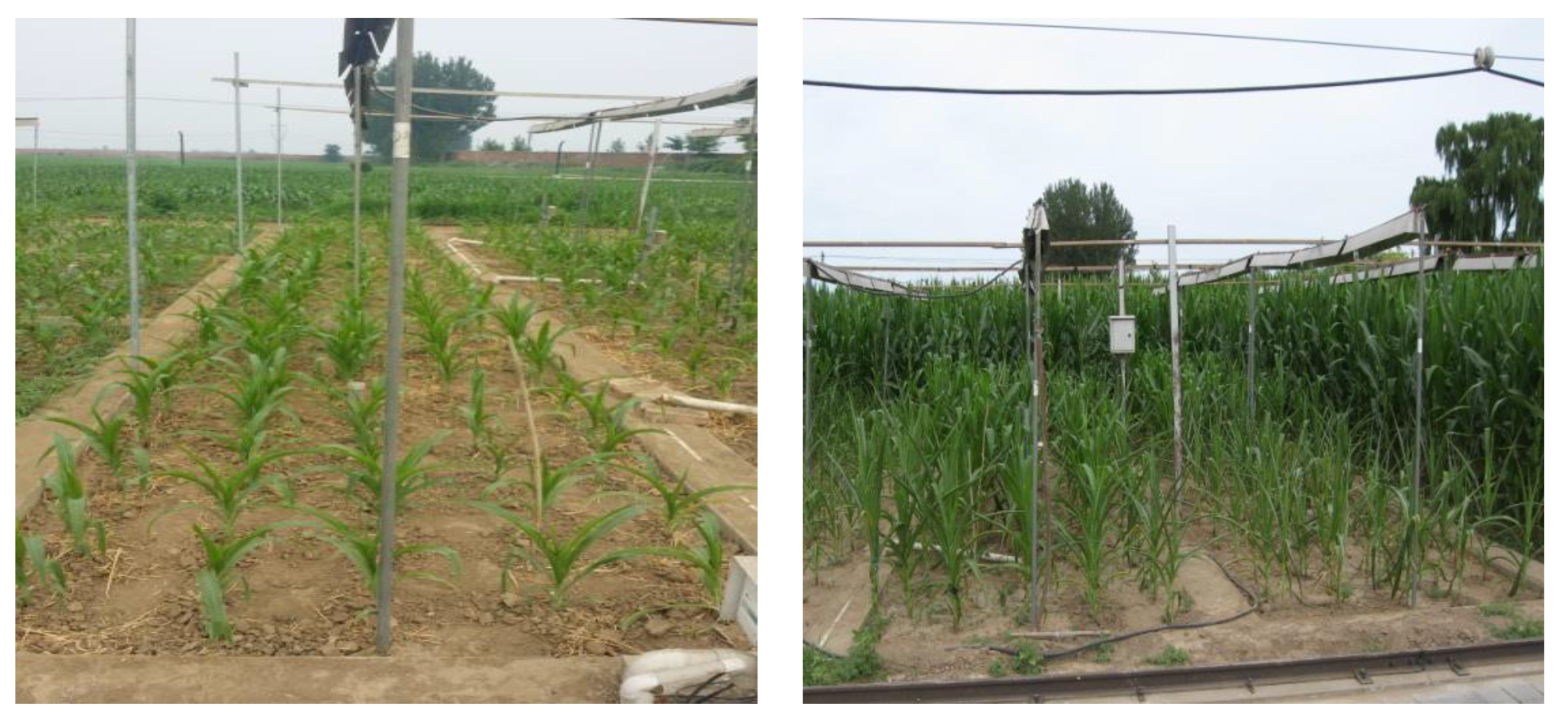 Agriculture 12 01948 g002