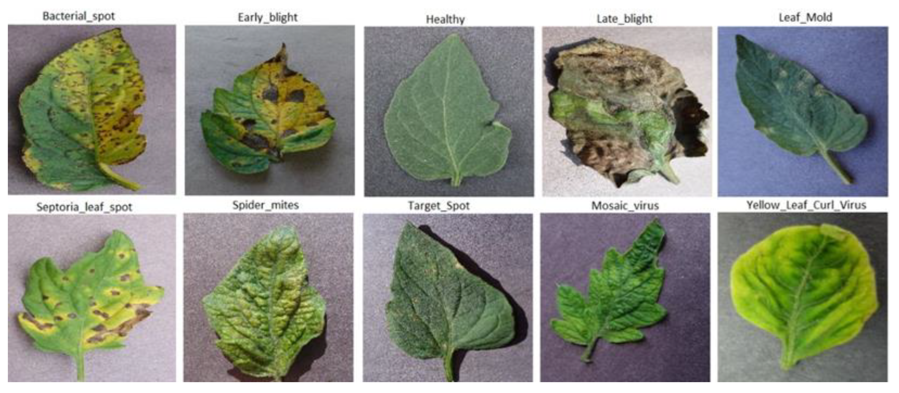 Agriculture 12 01964 g001