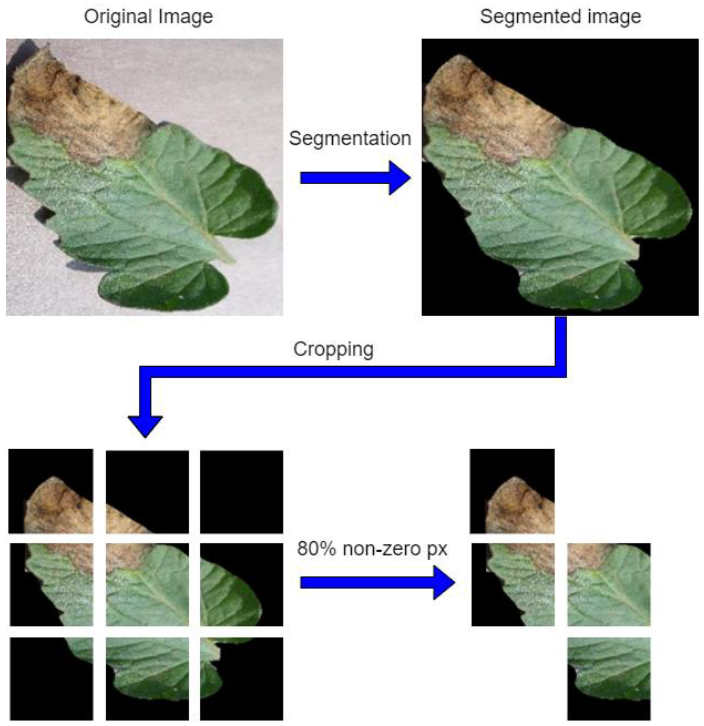 Agriculture 12 01964 g006